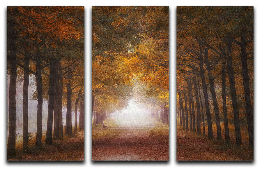 Foggy Autumn Dream 3 Split Panel Canvas Print - Canvas Art Rocks - 1
