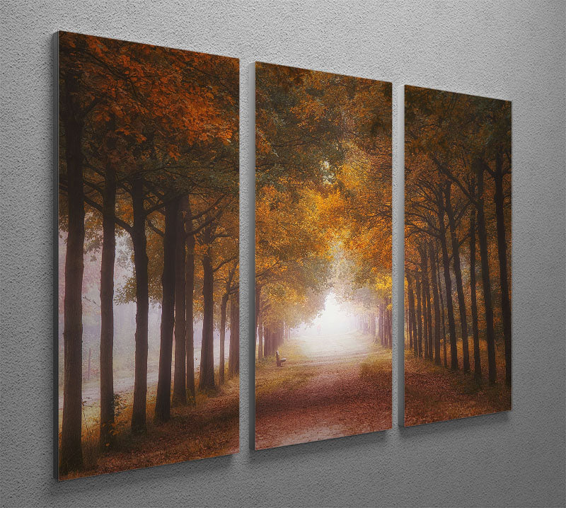 Foggy Autumn Dream 3 Split Panel Canvas Print - Canvas Art Rocks - 2