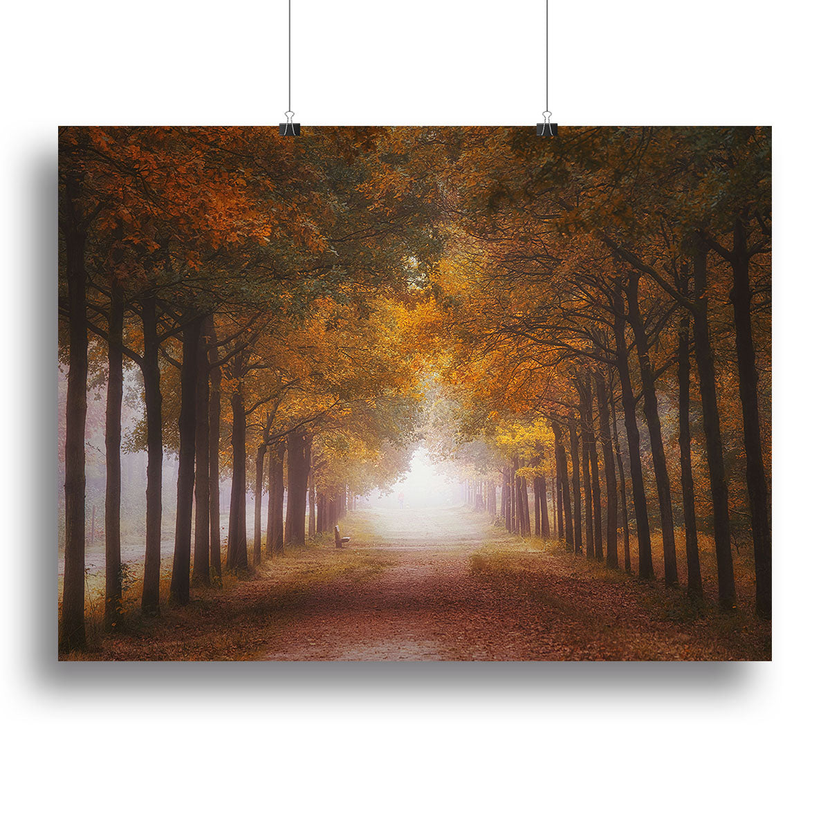 Foggy Autumn Dream Canvas Print or Poster - Canvas Art Rocks - 2