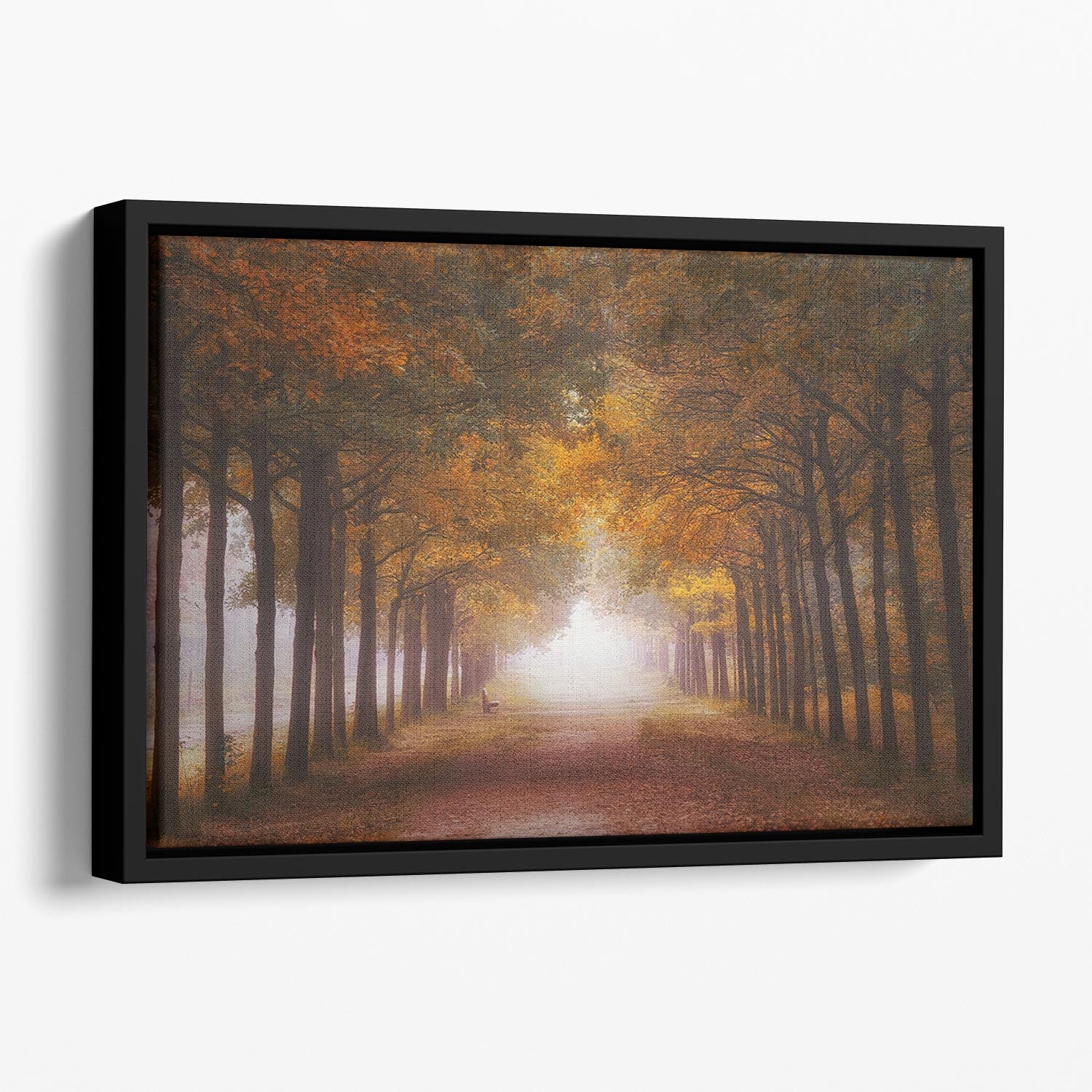 Foggy Autumn Dream Floating Framed Canvas - Canvas Art Rocks - 1