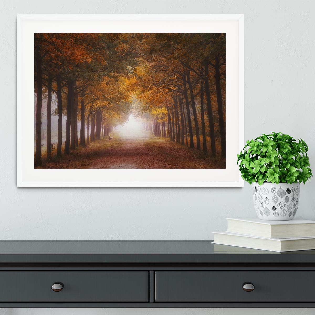 Foggy Autumn Dream Framed Print - Canvas Art Rocks - 5