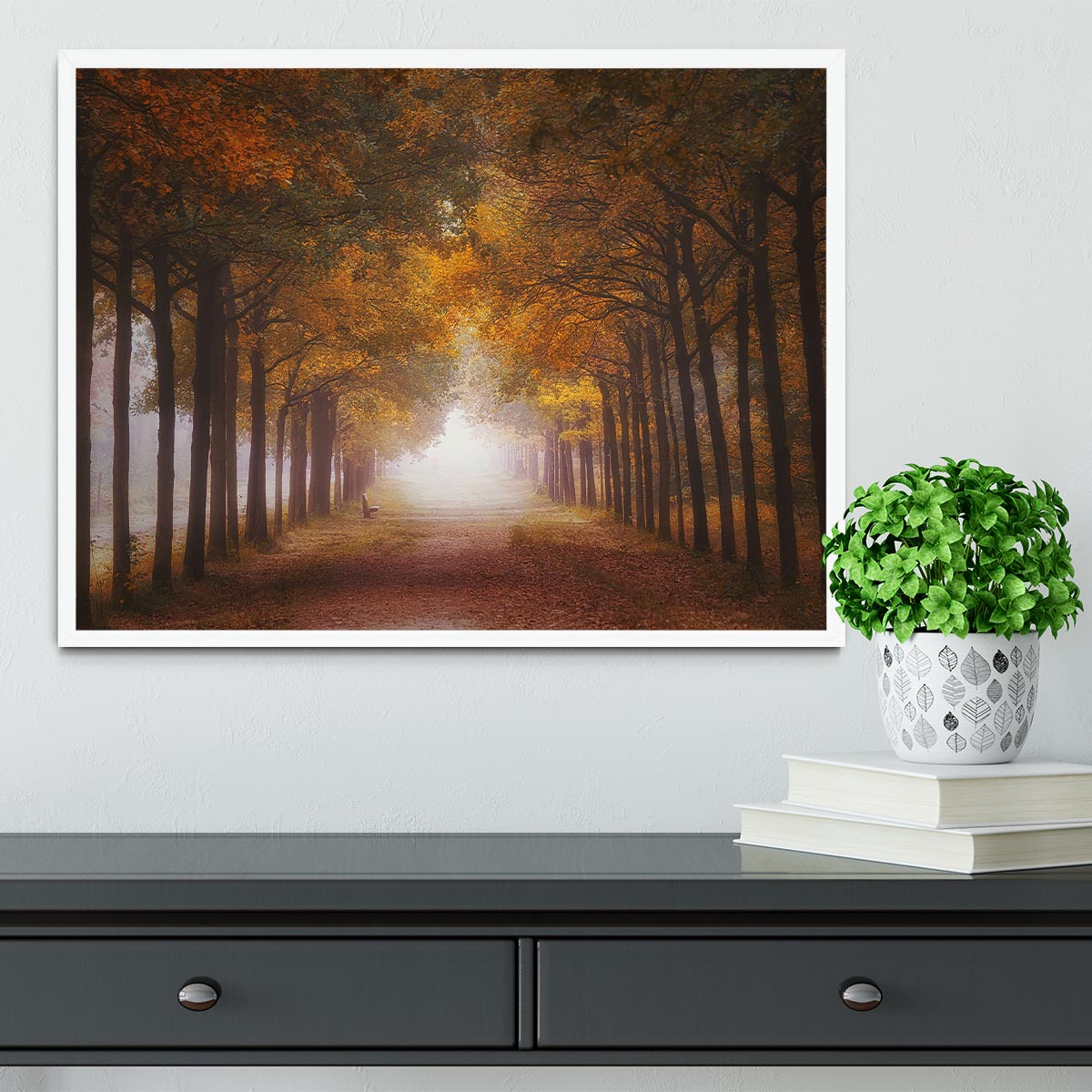 Foggy Autumn Dream Framed Print - Canvas Art Rocks -6