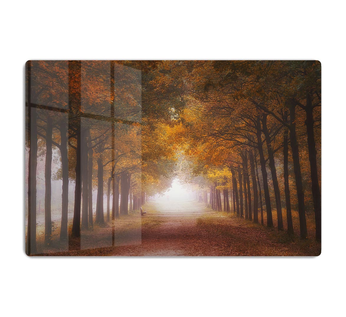 Foggy Autumn Dream HD Metal Print - Canvas Art Rocks - 1