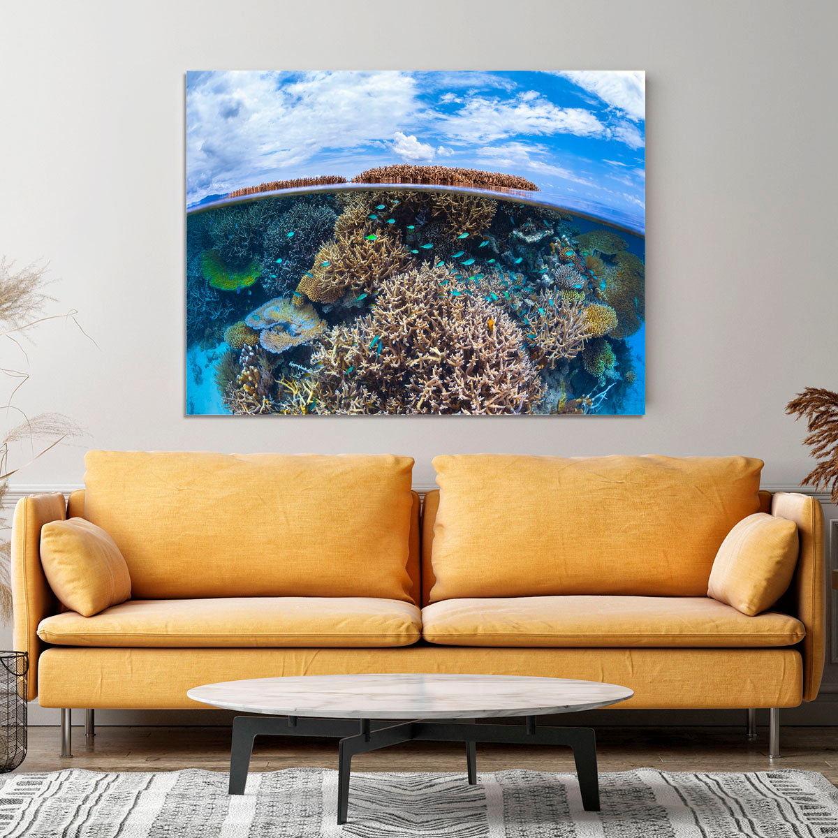 Split Level From Mayotte Reef Canvas Print or Poster - Canvas Art Rocks - 4
