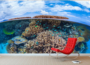 Split Level From Mayotte Reef Wall Mural Wallpaper - Canvas Art Rocks - 2