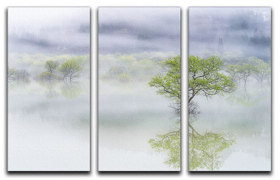 Dreamy Tree 3 Split Panel Canvas Print - Canvas Art Rocks - 1