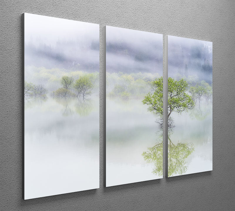 Dreamy Tree 3 Split Panel Canvas Print - Canvas Art Rocks - 2