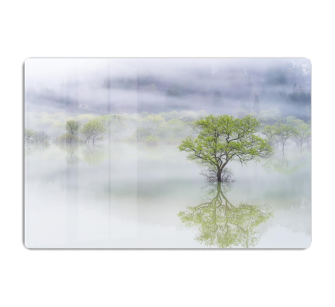 Dreamy Tree HD Metal Print - Canvas Art Rocks - 1