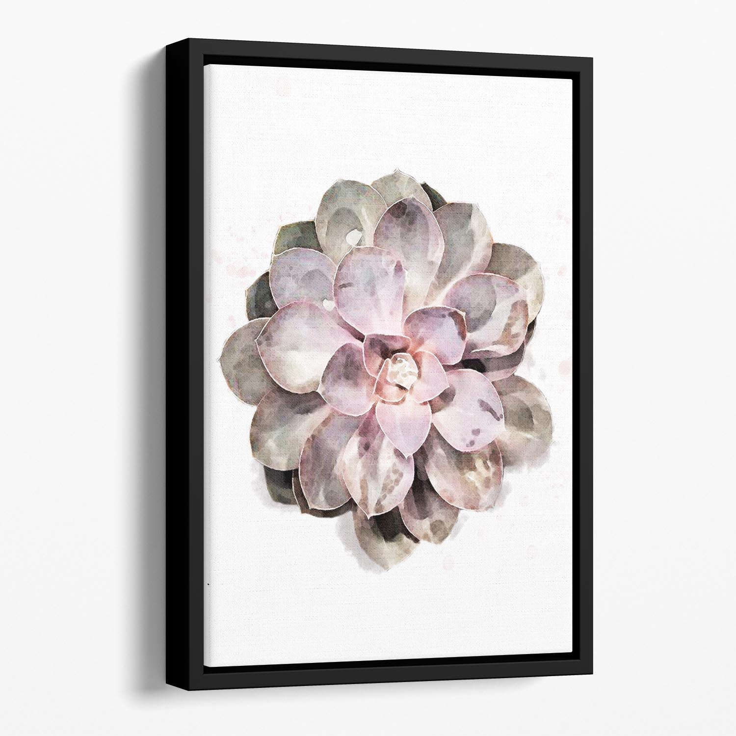 Succulent 01 Floating Framed Canvas - Canvas Art Rocks - 1