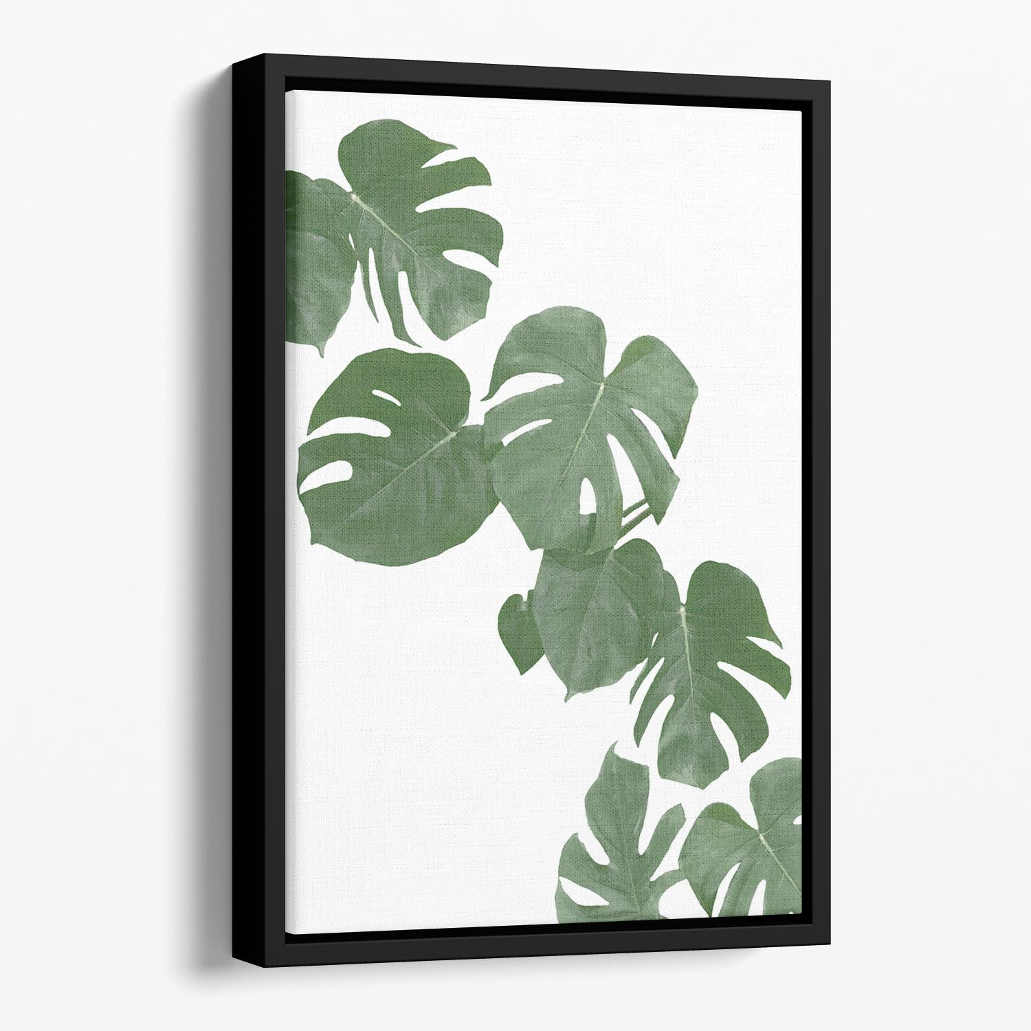 Monstera Aqua 02 Floating Framed Canvas - Canvas Art Rocks - 1