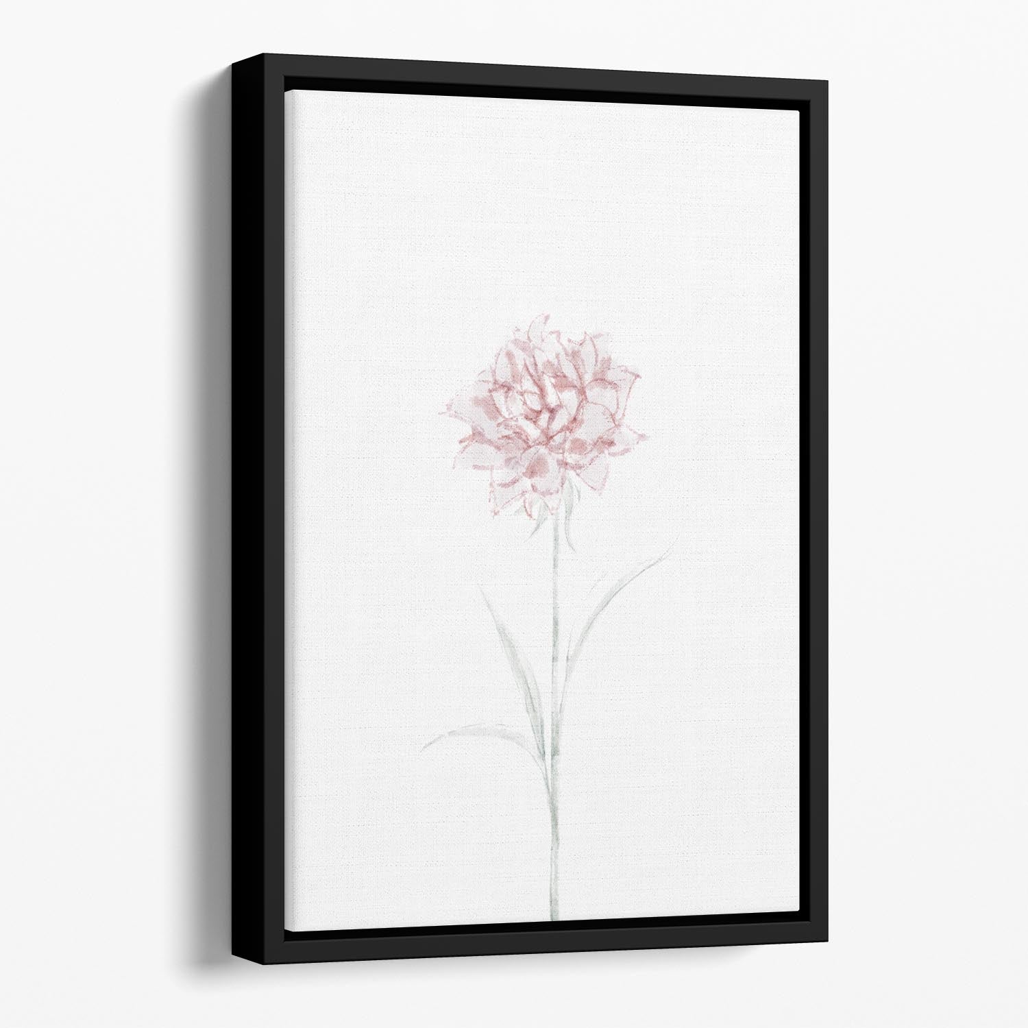 Peony 02 Floating Framed Canvas - Canvas Art Rocks - 1