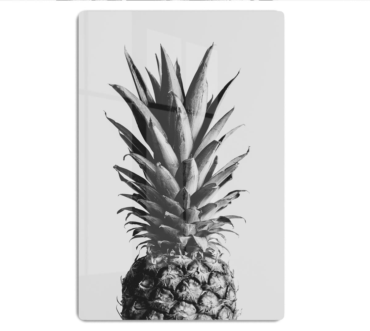 Pineapple Black a White 02 HD Metal Print - Canvas Art Rocks - 1