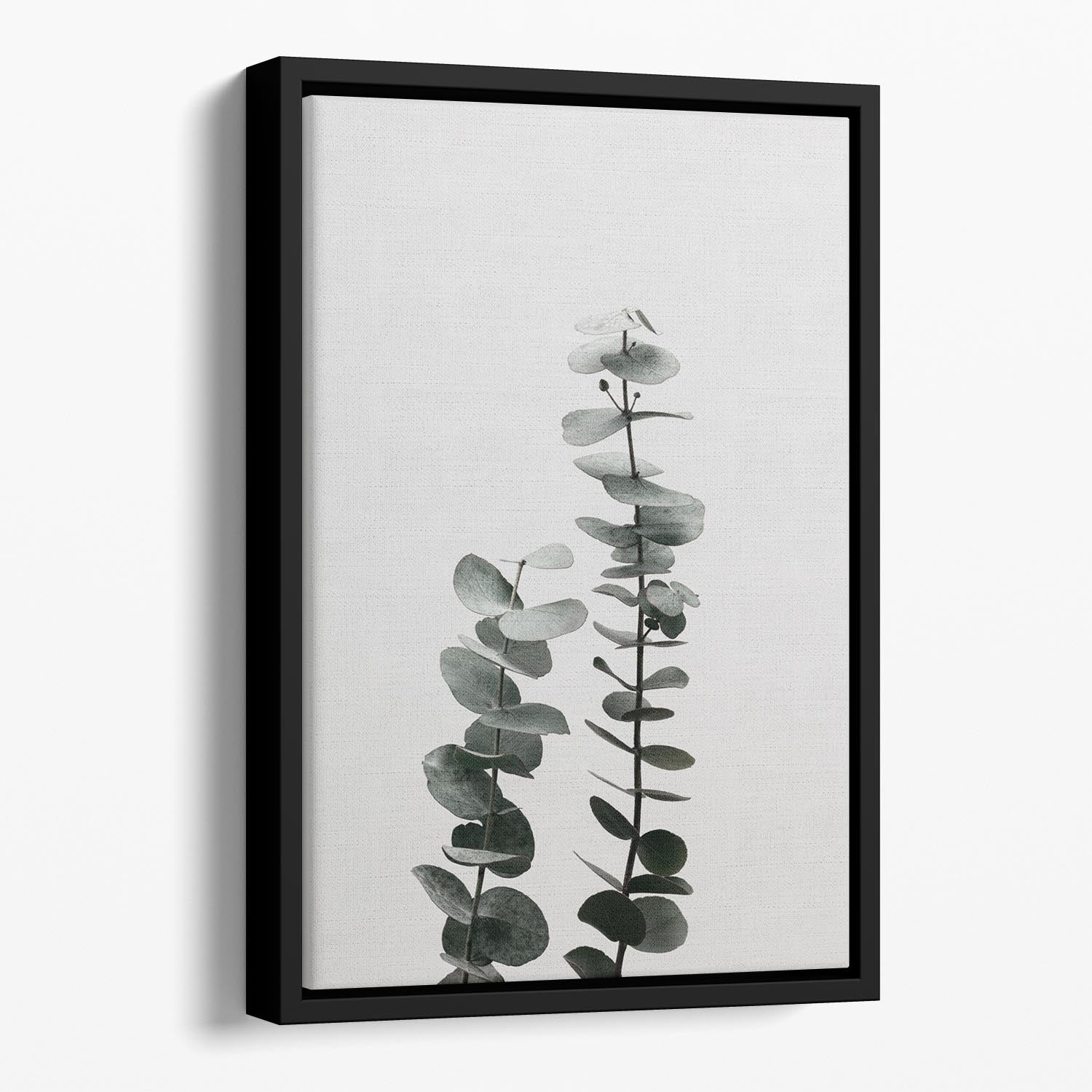 Eucalyptus Natural 03 Floating Framed Canvas - Canvas Art Rocks - 1