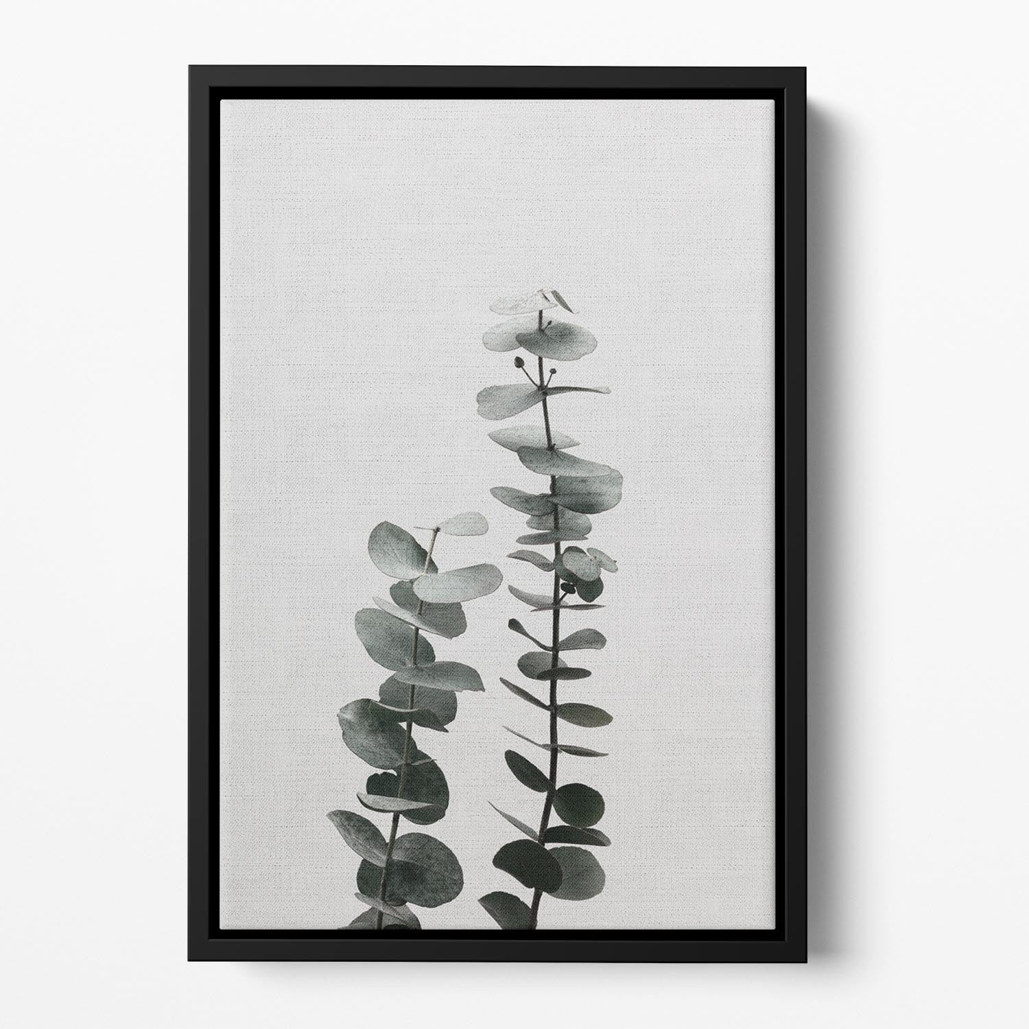 Eucalyptus Natural 03 Floating Framed Canvas - Canvas Art Rocks - 2