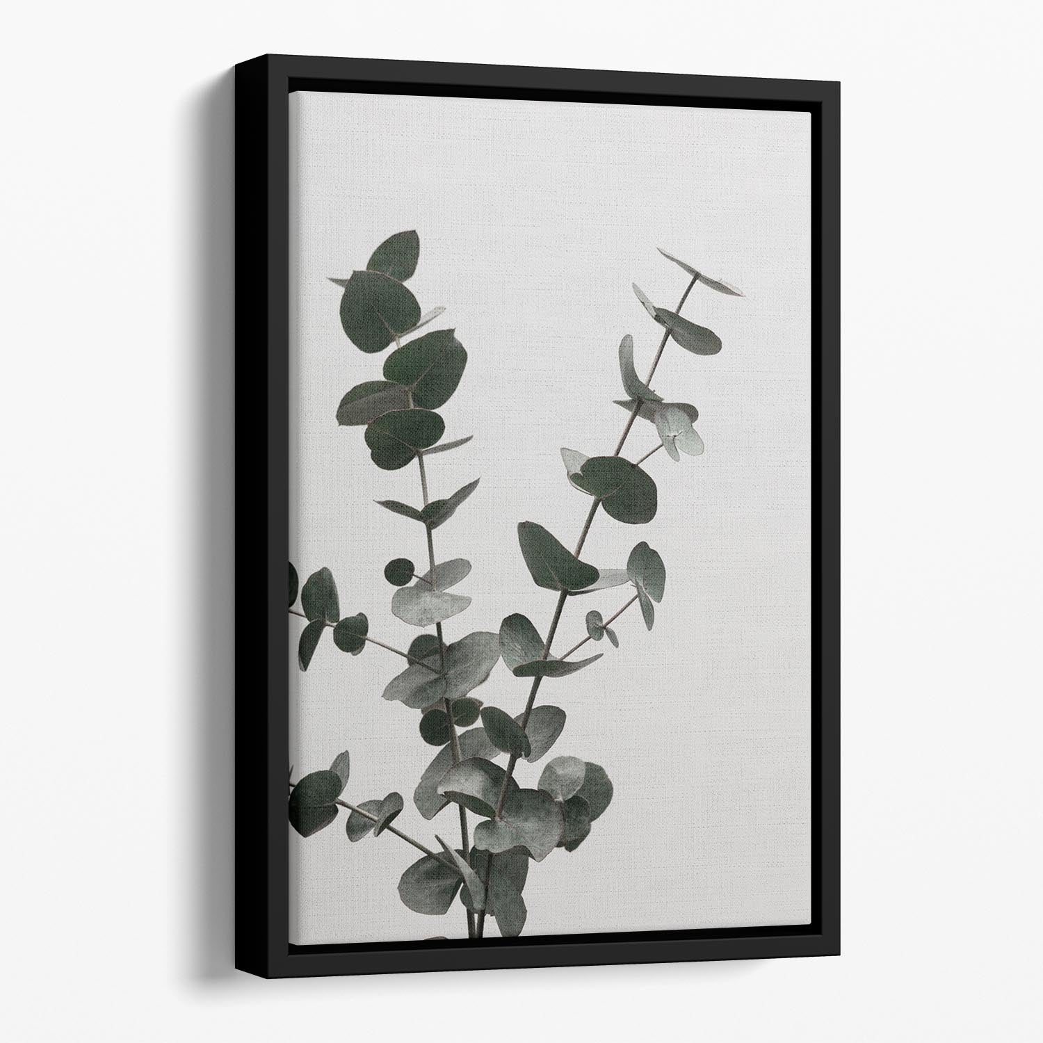 Eucalyptus Natural 04 Floating Framed Canvas - Canvas Art Rocks - 1