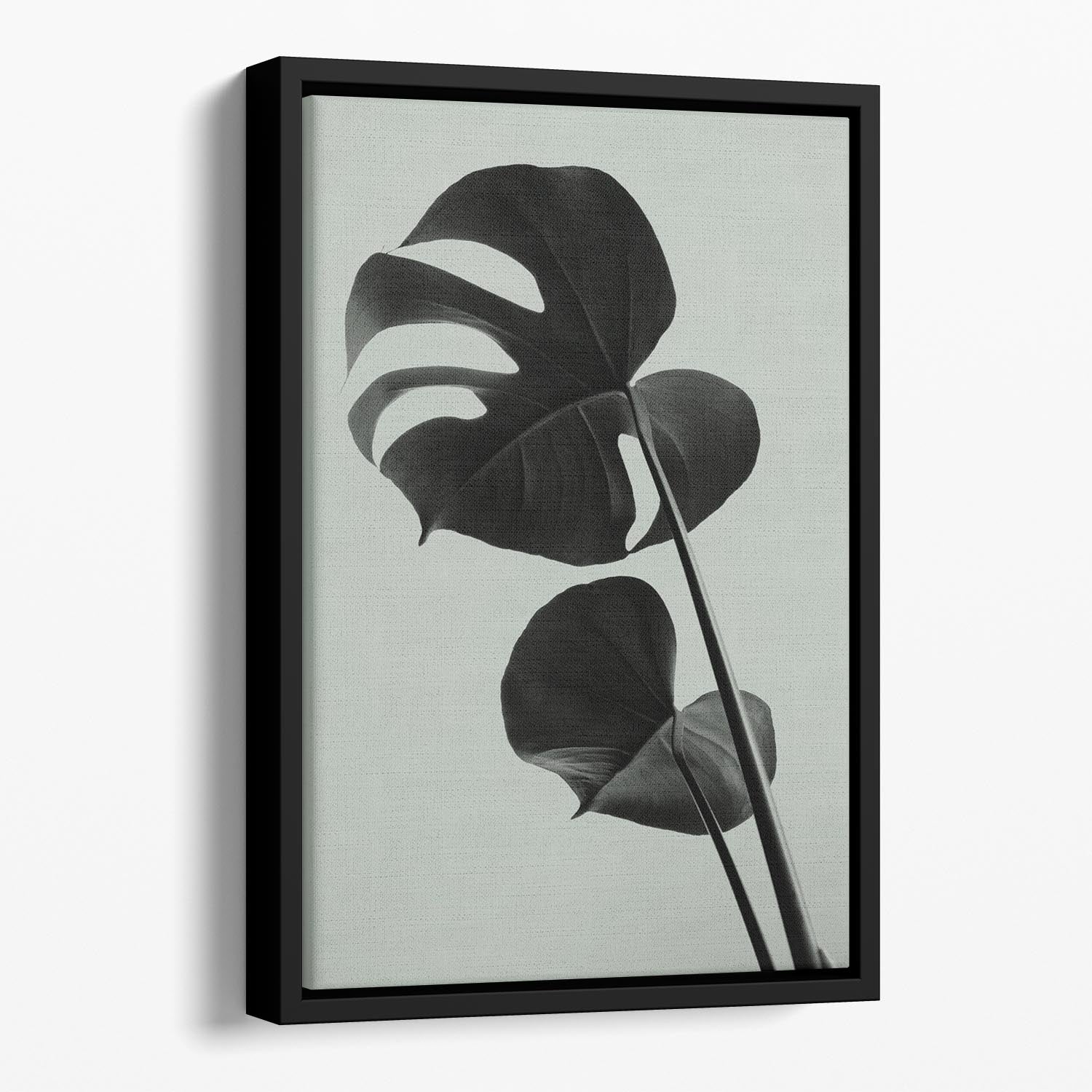 Monstera Teal 01 Floating Framed Canvas - Canvas Art Rocks - 1