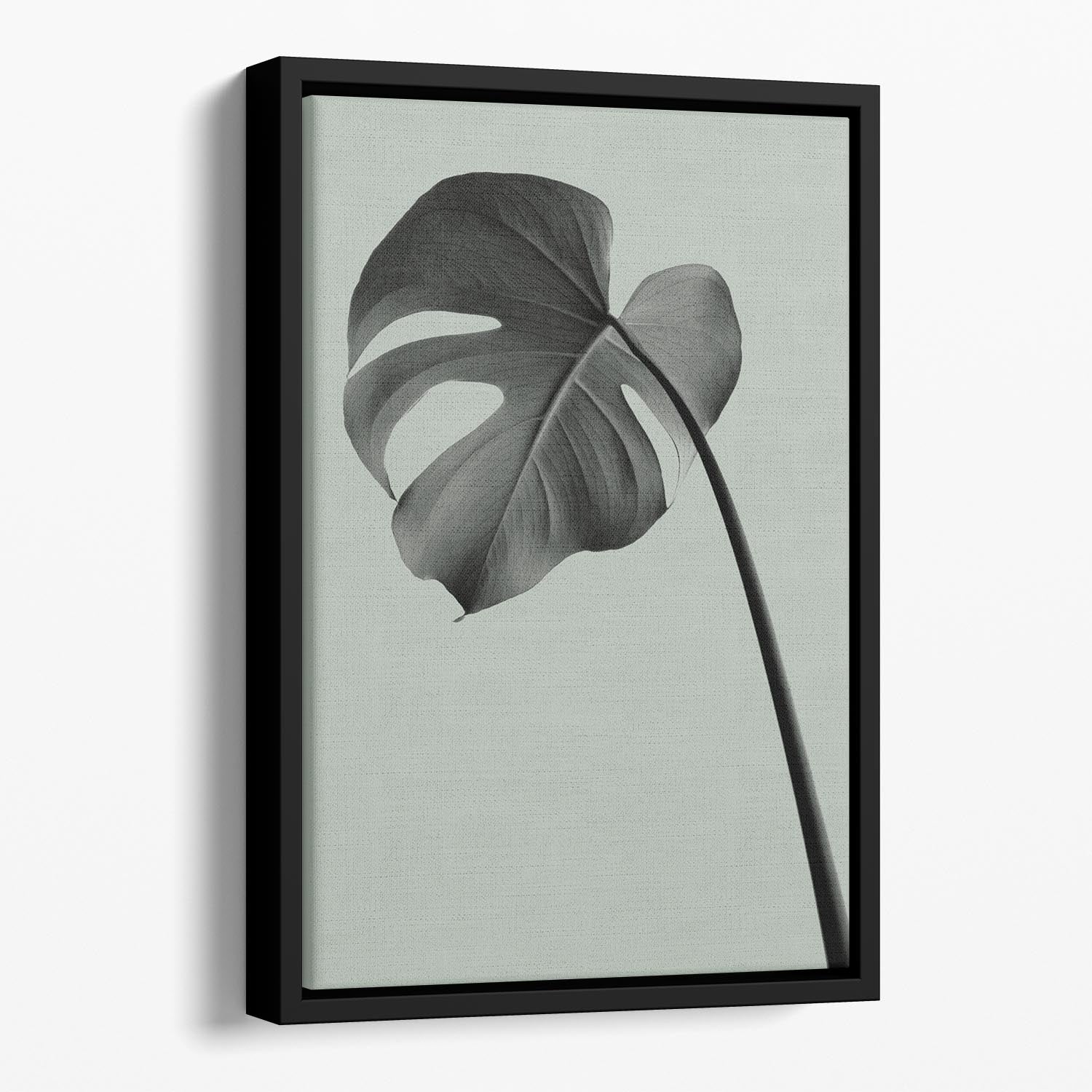 Monstera Teal 02 Floating Framed Canvas - Canvas Art Rocks - 1