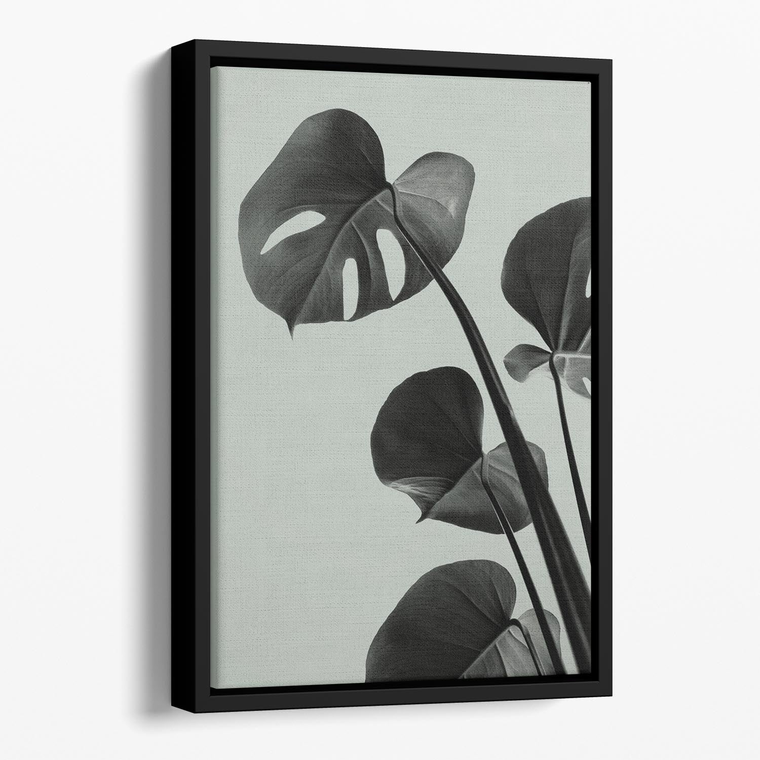 Monstera Teal 04 Floating Framed Canvas - Canvas Art Rocks - 1