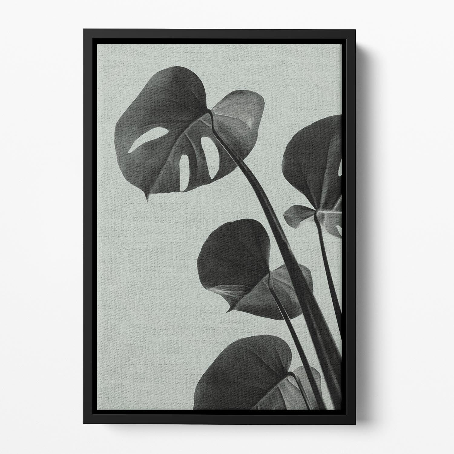 Monstera Teal 04 Floating Framed Canvas - Canvas Art Rocks - 2