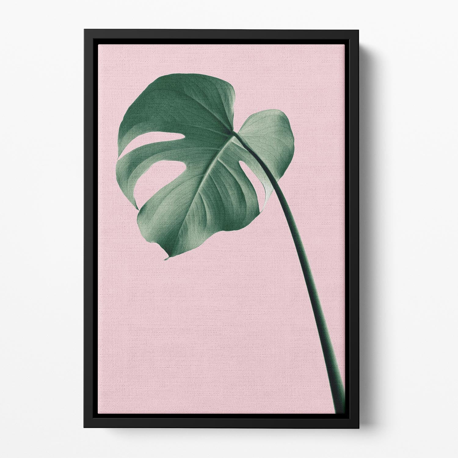 Monstera Pink No 05 Floating Framed Canvas - Canvas Art Rocks - 2