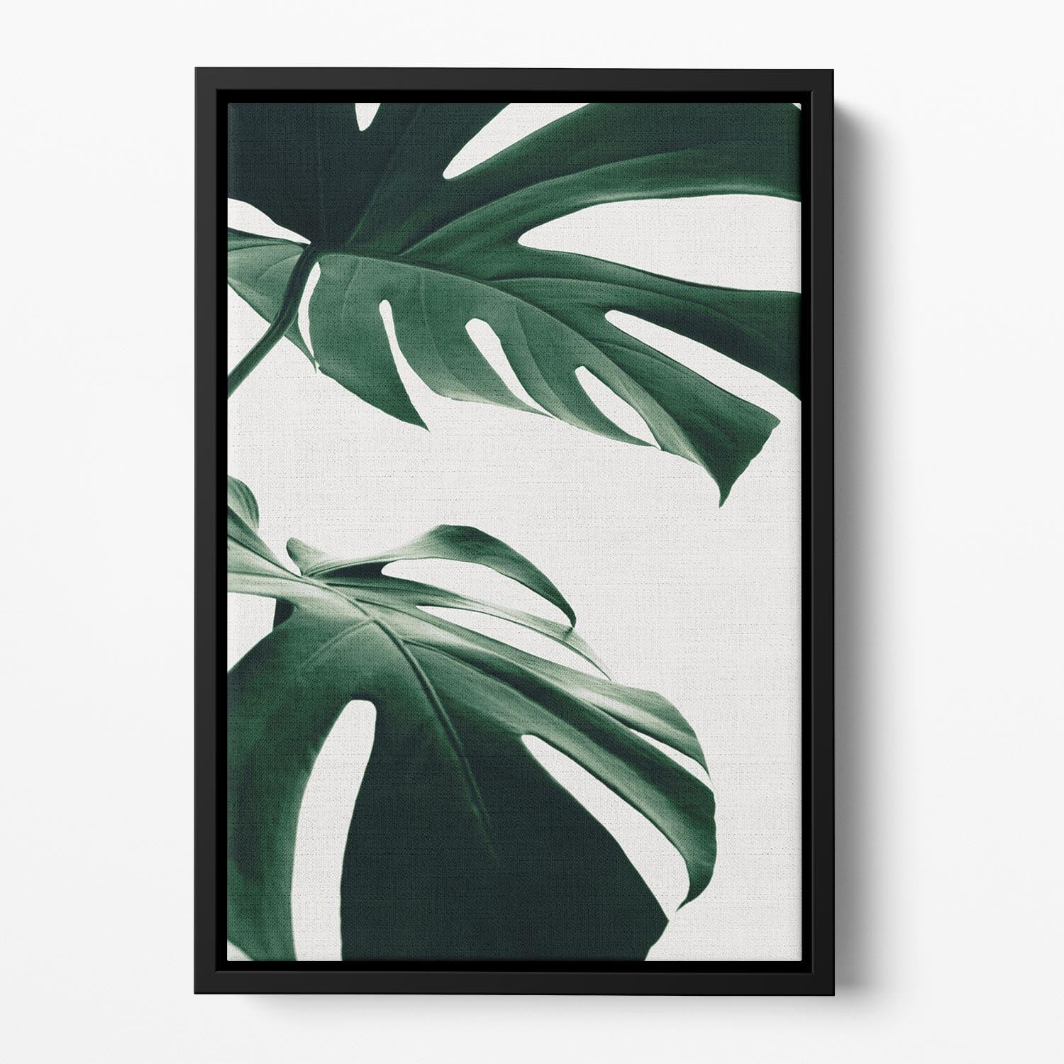 Monstera Natural 12 Floating Framed Canvas - Canvas Art Rocks - 2