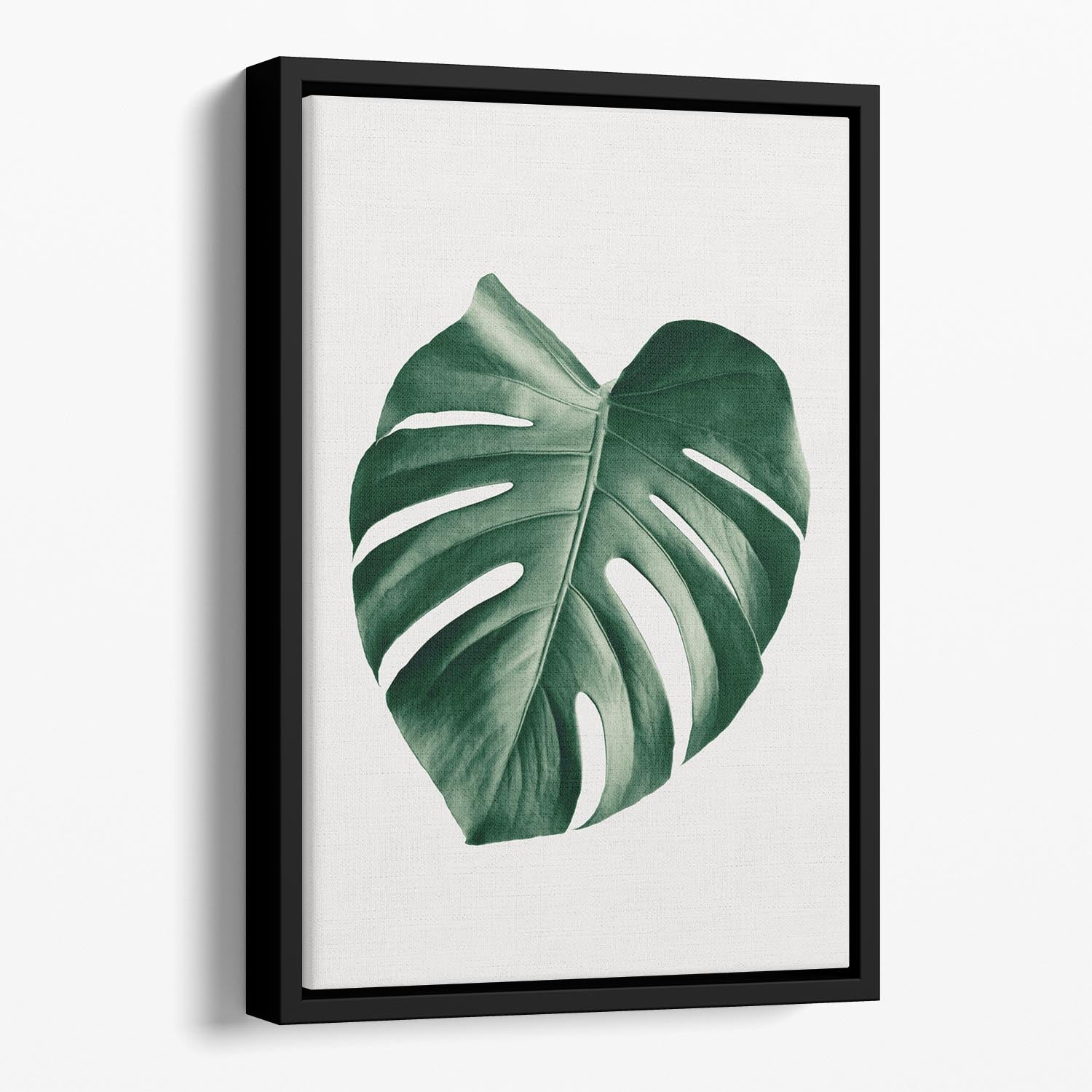 Monstera Natural 23 Floating Framed Canvas - Canvas Art Rocks - 1