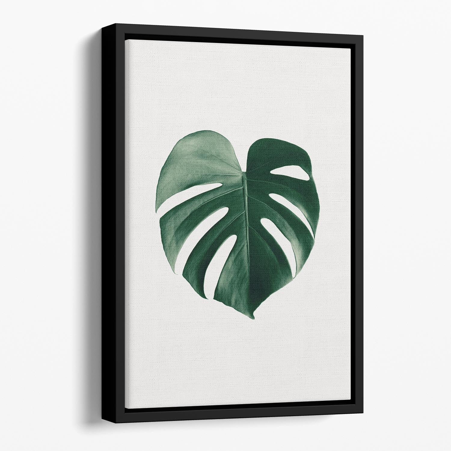 Monstera Natural 24 Floating Framed Canvas - Canvas Art Rocks - 1