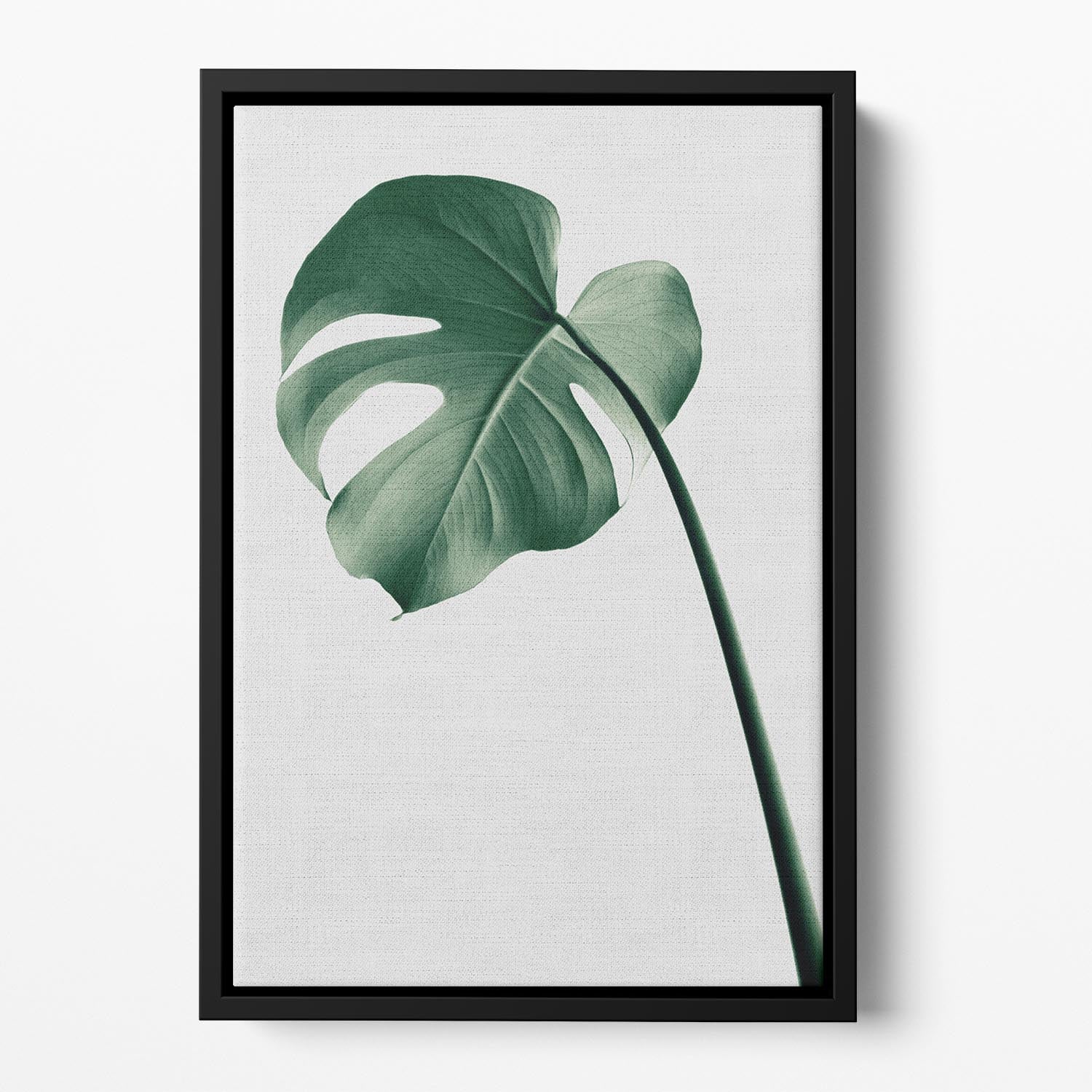 Monstera Natural 36 Floating Framed Canvas - Canvas Art Rocks - 2