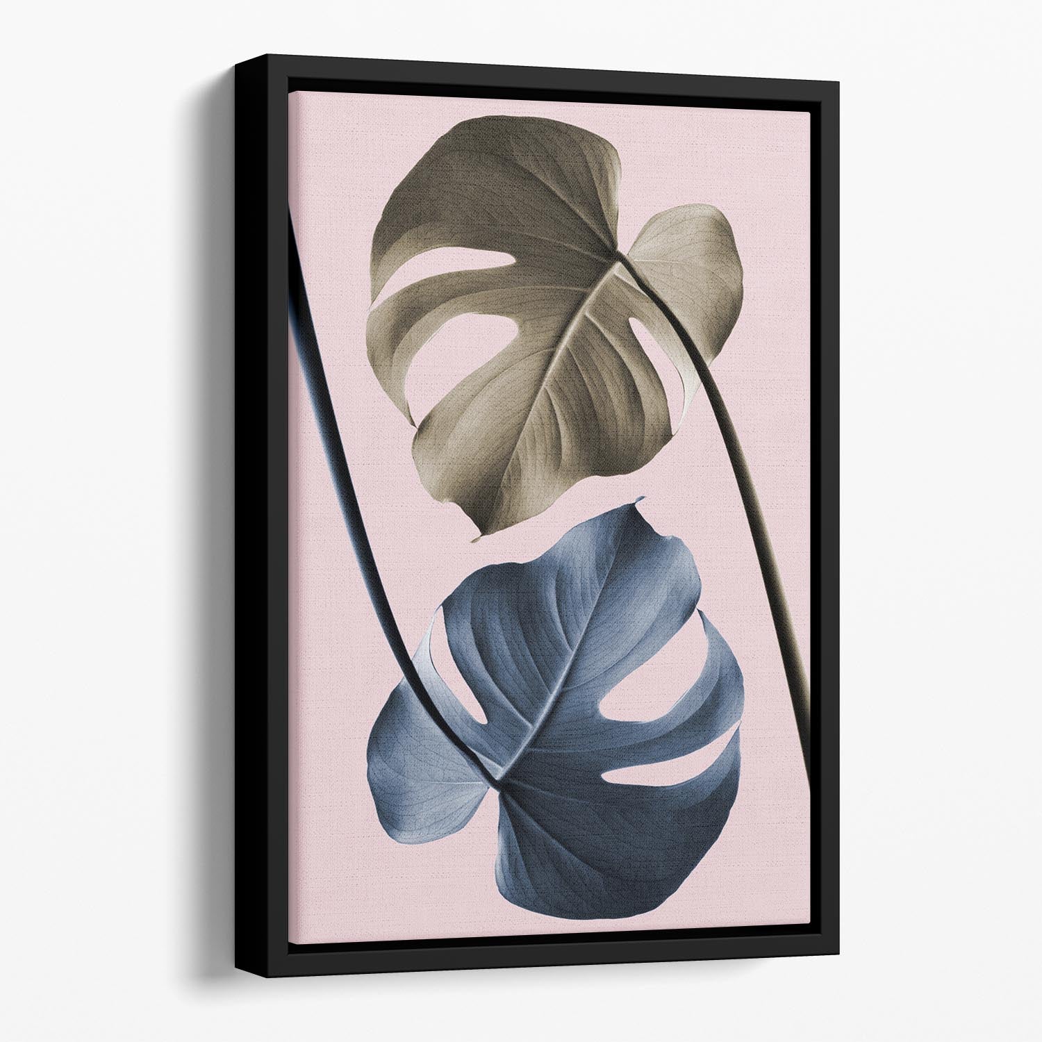 Monstera Pink Light 02 Floating Framed Canvas - Canvas Art Rocks - 1