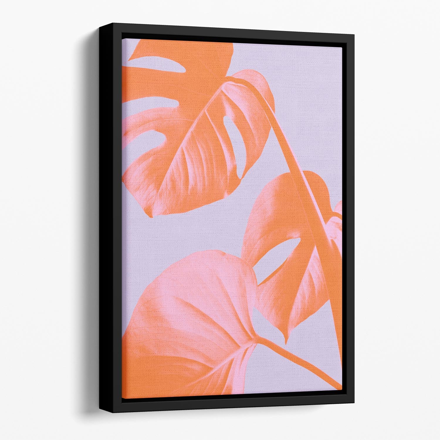 Monstera Purple 03 Floating Framed Canvas - Canvas Art Rocks - 1