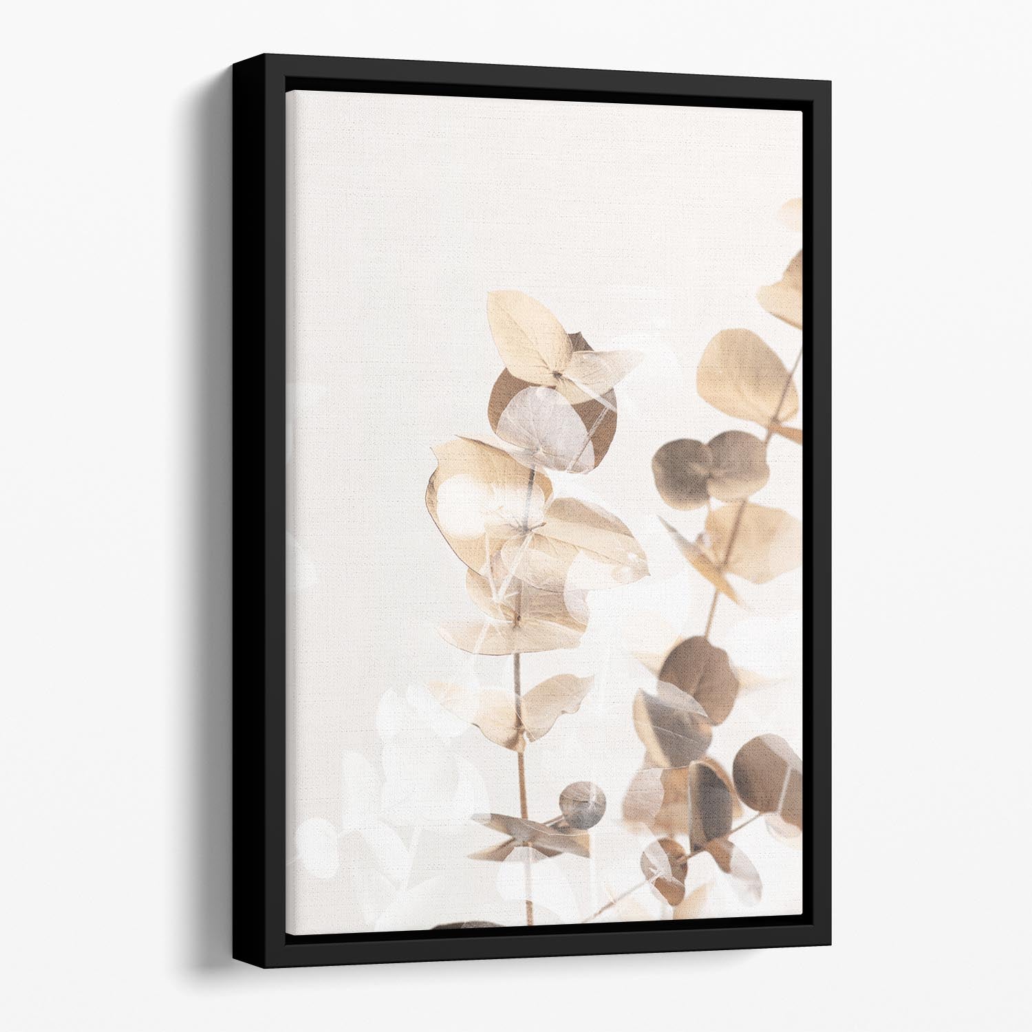 Eucalyptus Creative Gold 01 Floating Framed Canvas - Canvas Art Rocks - 1