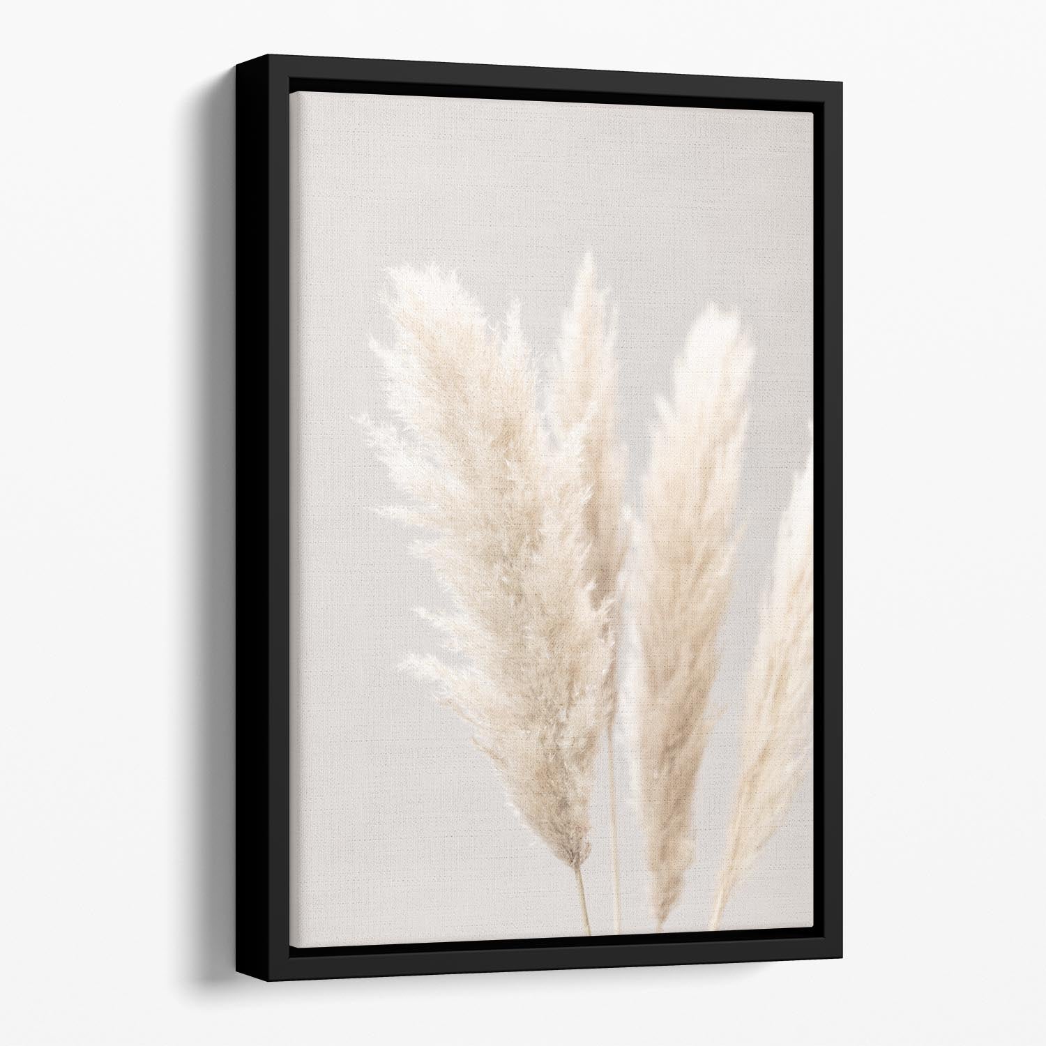 Pampas Grass Grey 02 Floating Framed Canvas - Canvas Art Rocks - 1