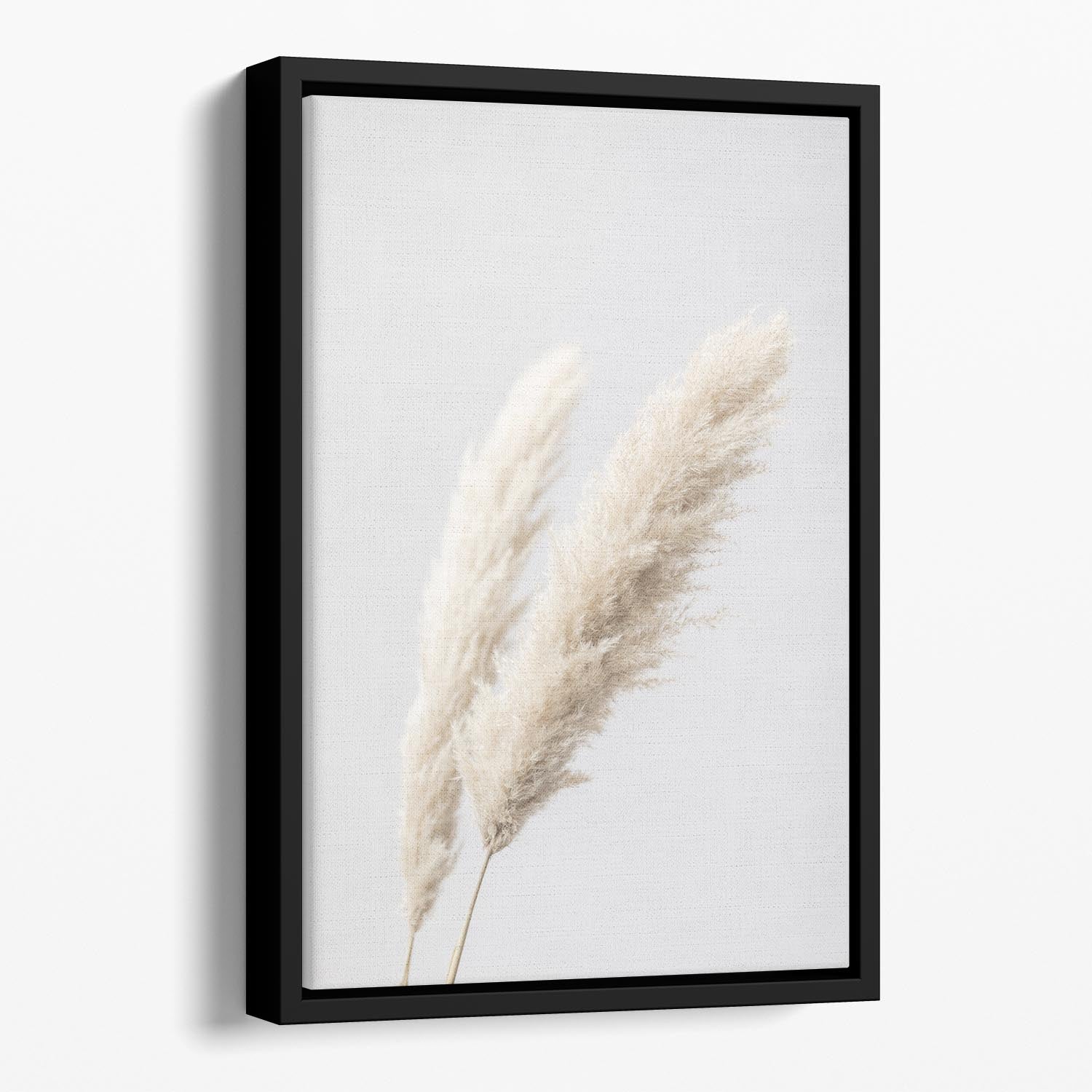 Pampas Grass Grey 13 Floating Framed Canvas - Canvas Art Rocks - 1