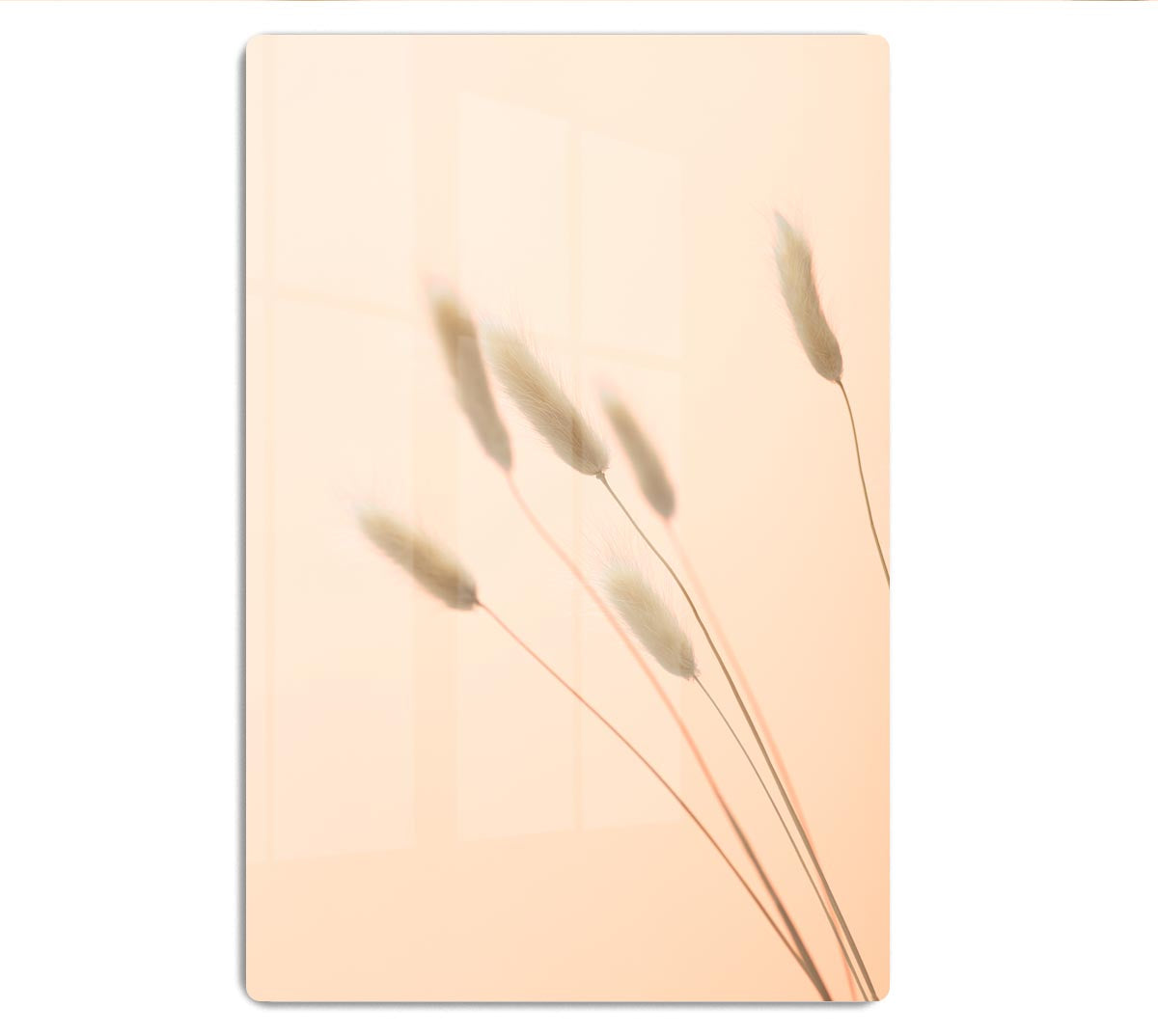 Bunny Grass Peach 03 HD Metal Print - Canvas Art Rocks - 1