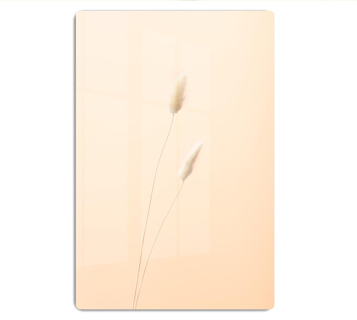 Bunny Grass Peach 08 HD Metal Print - Canvas Art Rocks - 1