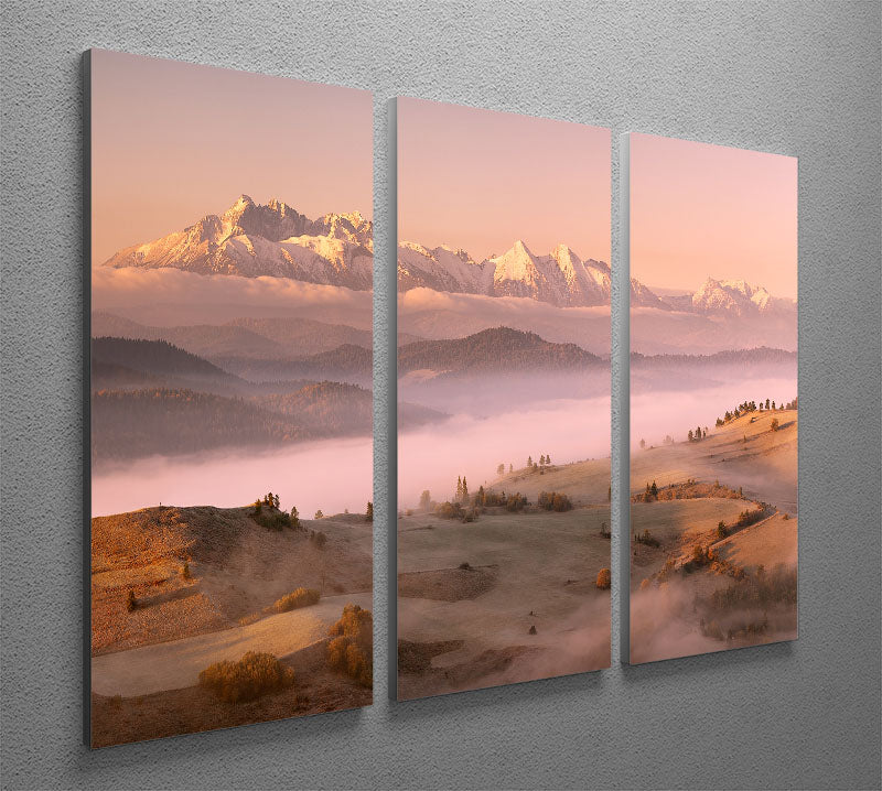 Fog Tatra 3 Split Panel Canvas Print - Canvas Art Rocks - 2