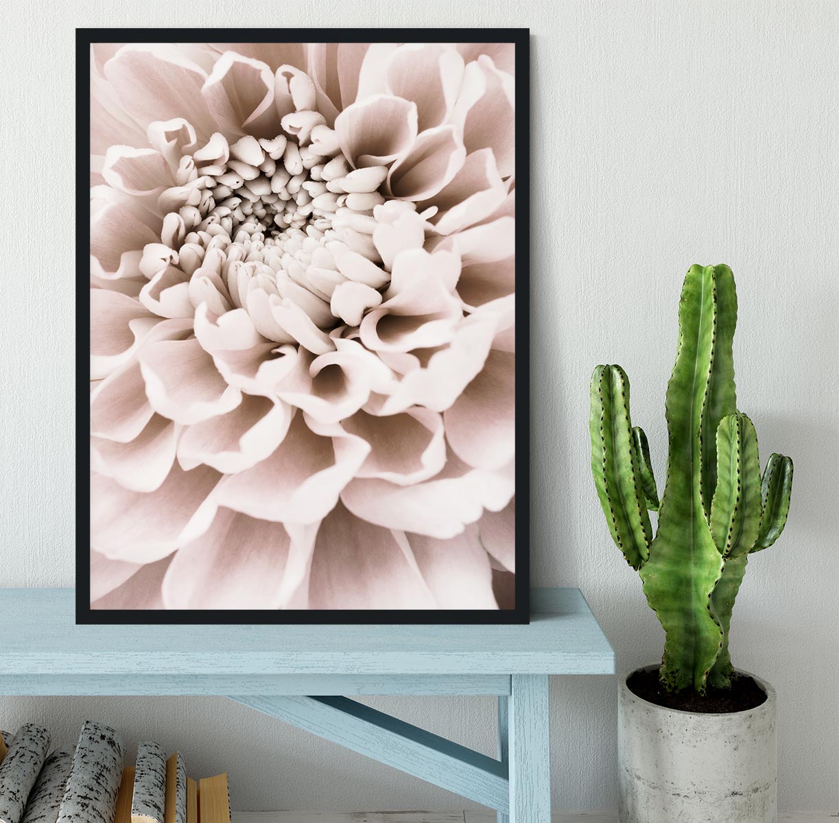 Chrysanthemum No 01 Framed Print - Canvas Art Rocks - 2