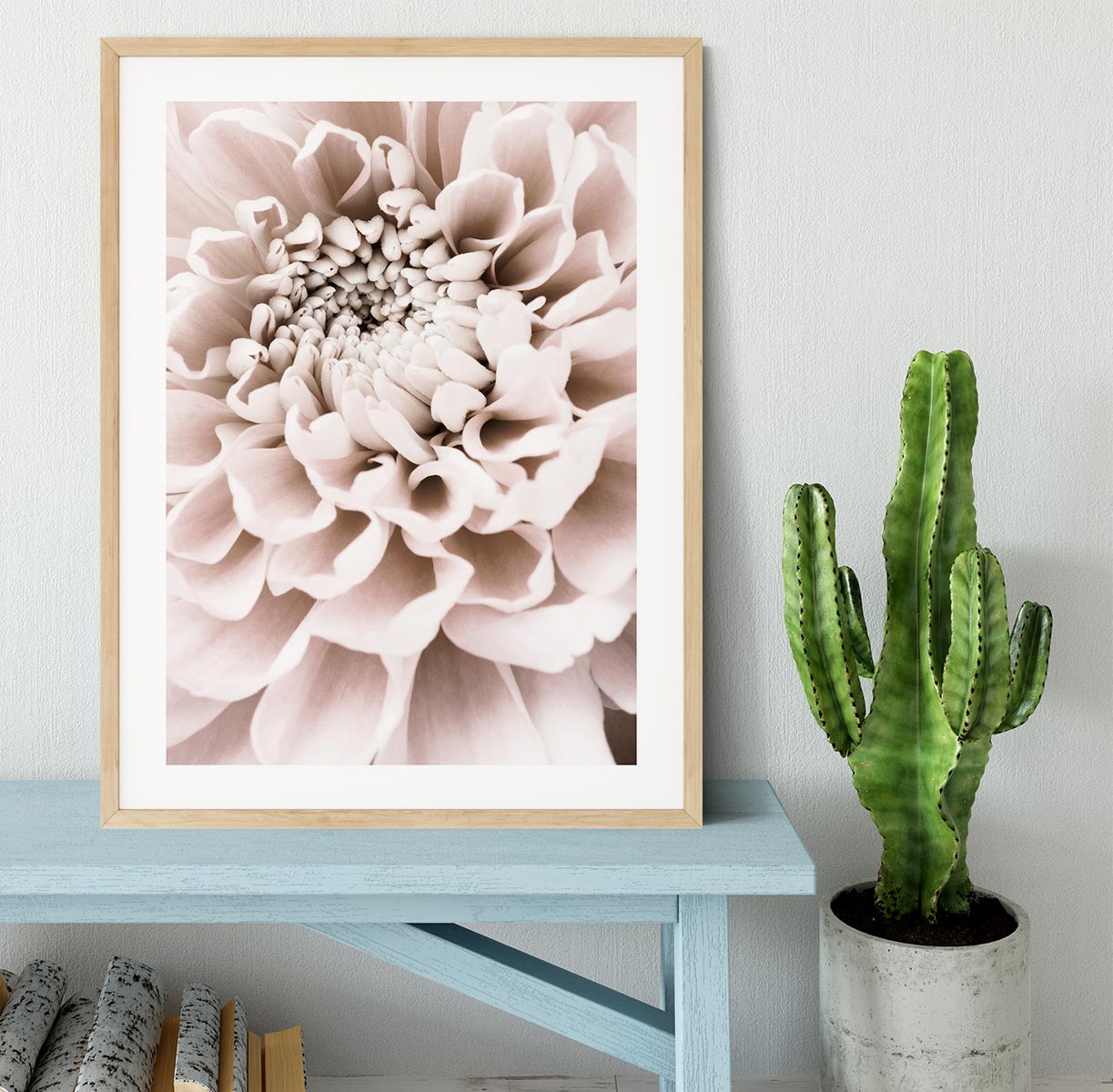 Chrysanthemum No 01 Framed Print - Canvas Art Rocks - 3