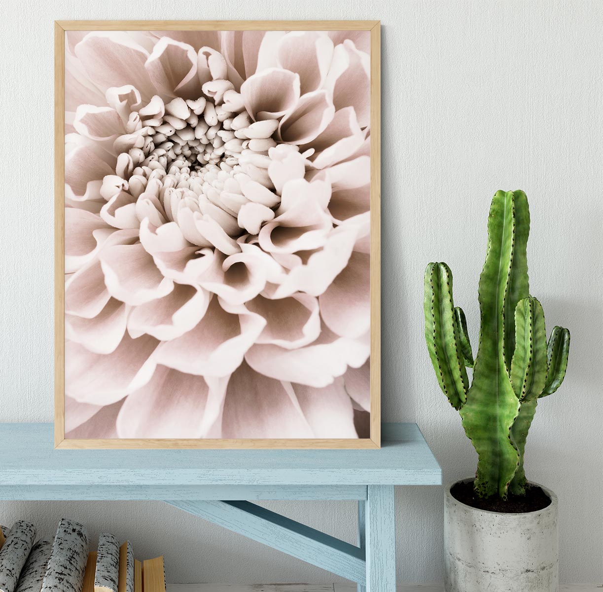 Chrysanthemum No 01 Framed Print - Canvas Art Rocks - 4