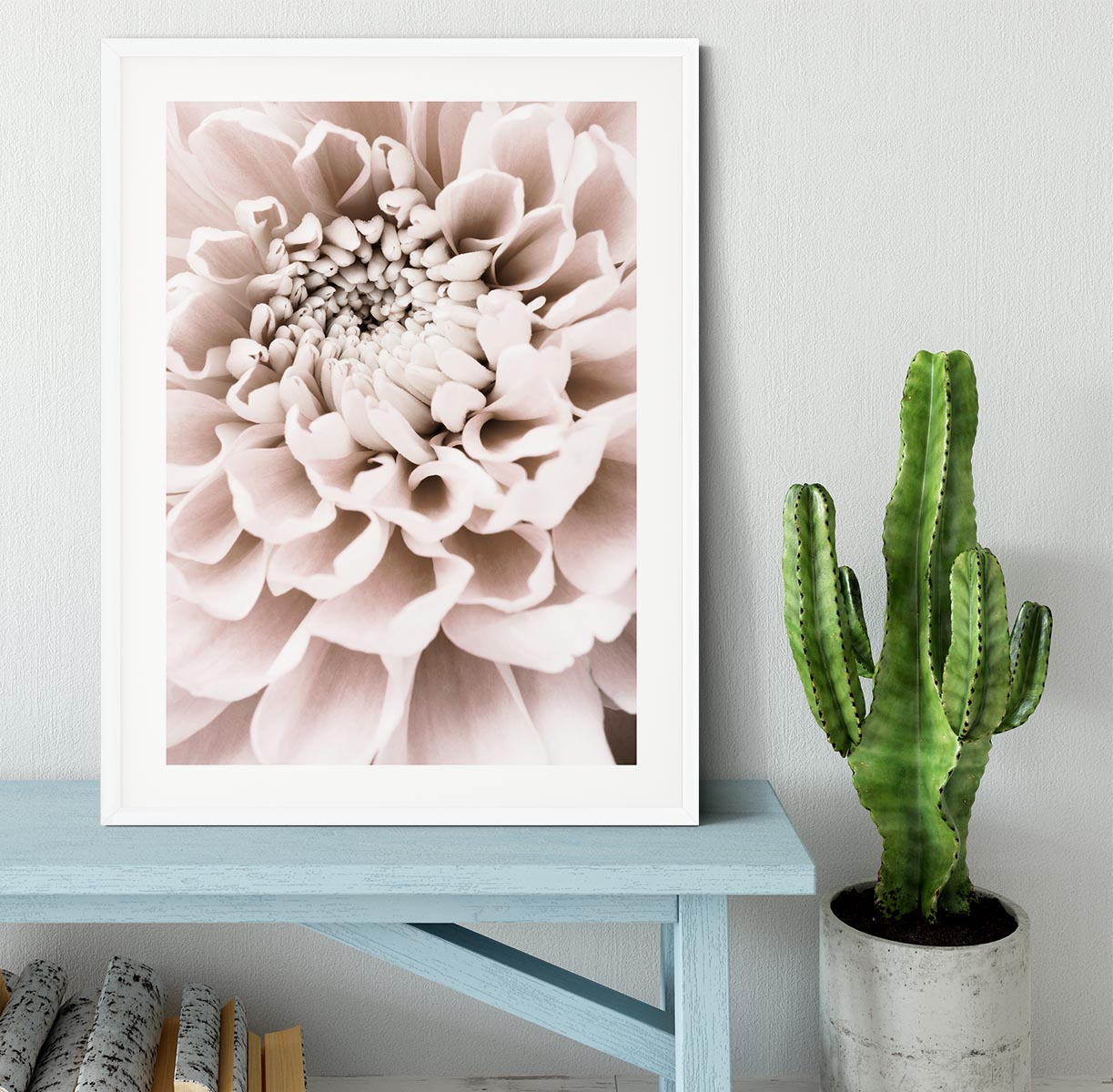 Chrysanthemum No 01 Framed Print - Canvas Art Rocks - 5