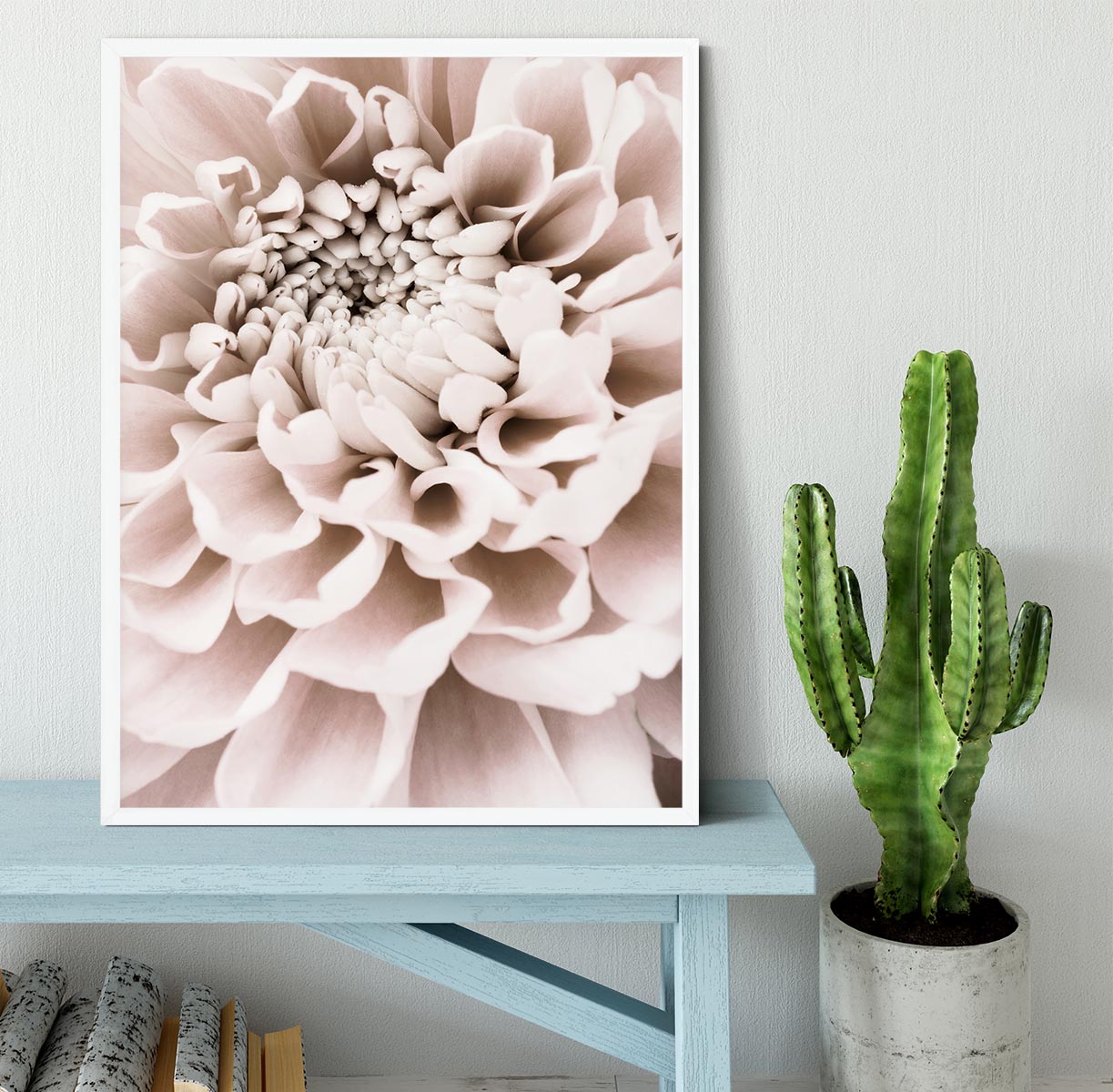 Chrysanthemum No 01 Framed Print - Canvas Art Rocks -6