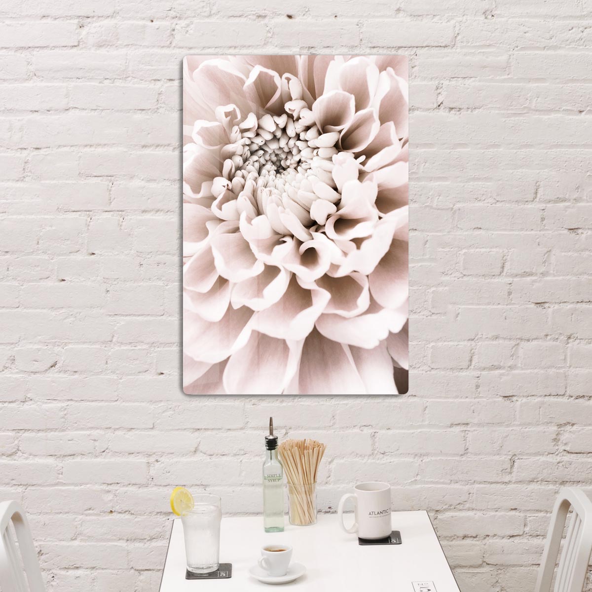 Chrysanthemum No 01 HD Metal Print - Canvas Art Rocks - 2