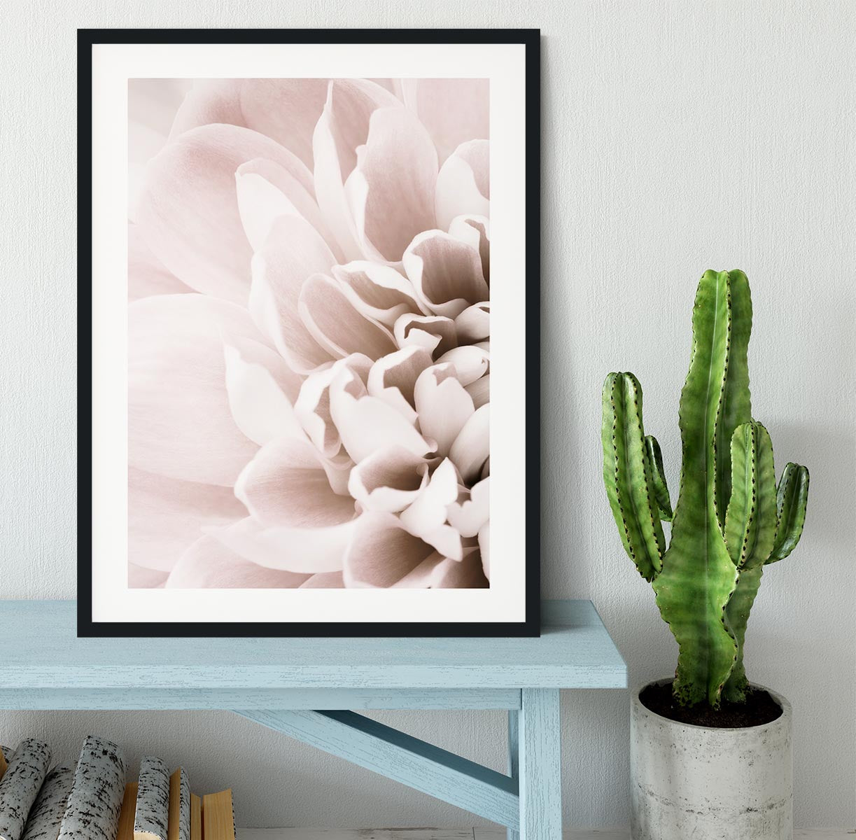 Chrysanthemum No 02 Framed Print - Canvas Art Rocks - 1