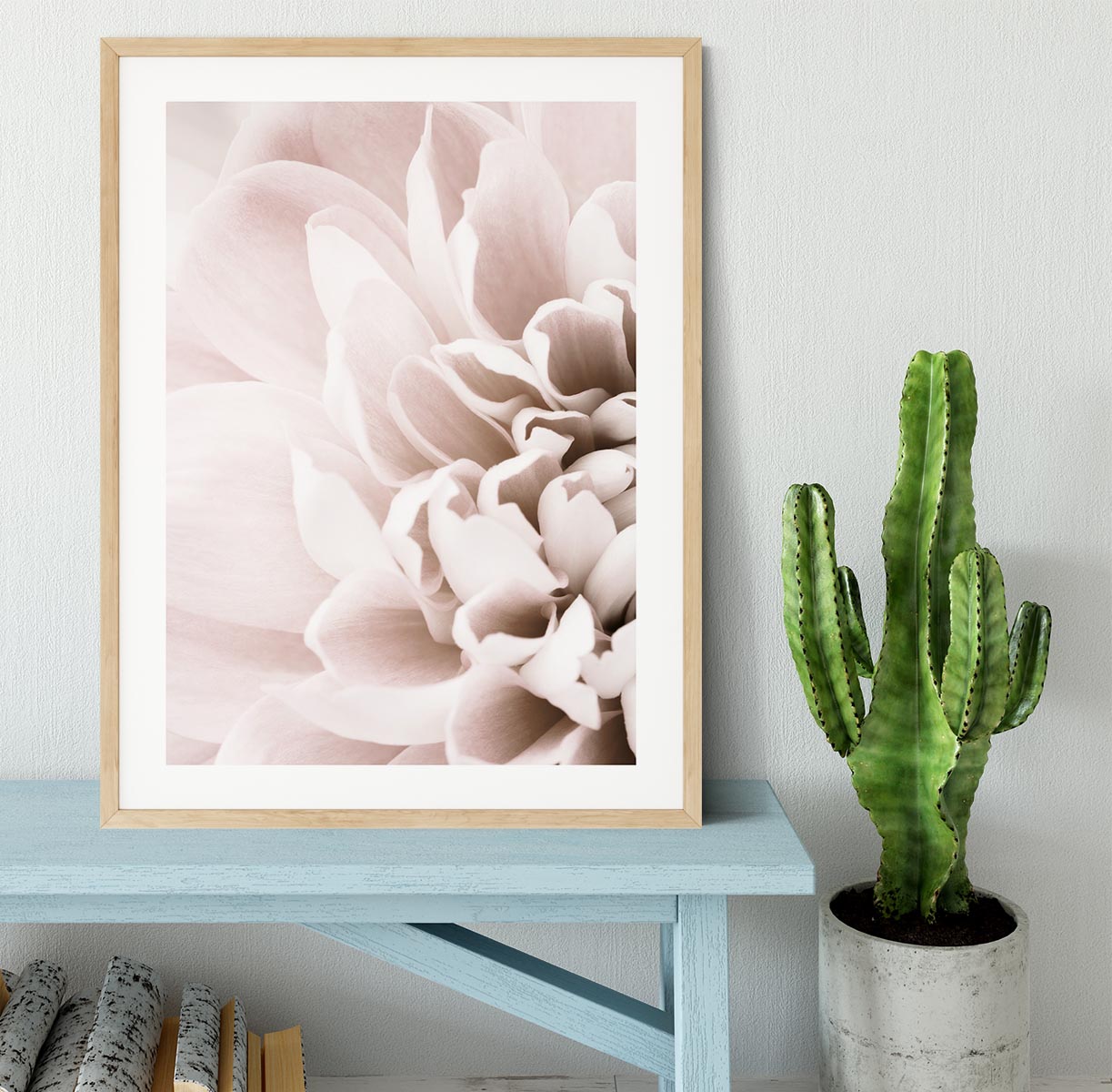 Chrysanthemum No 02 Framed Print - Canvas Art Rocks - 3