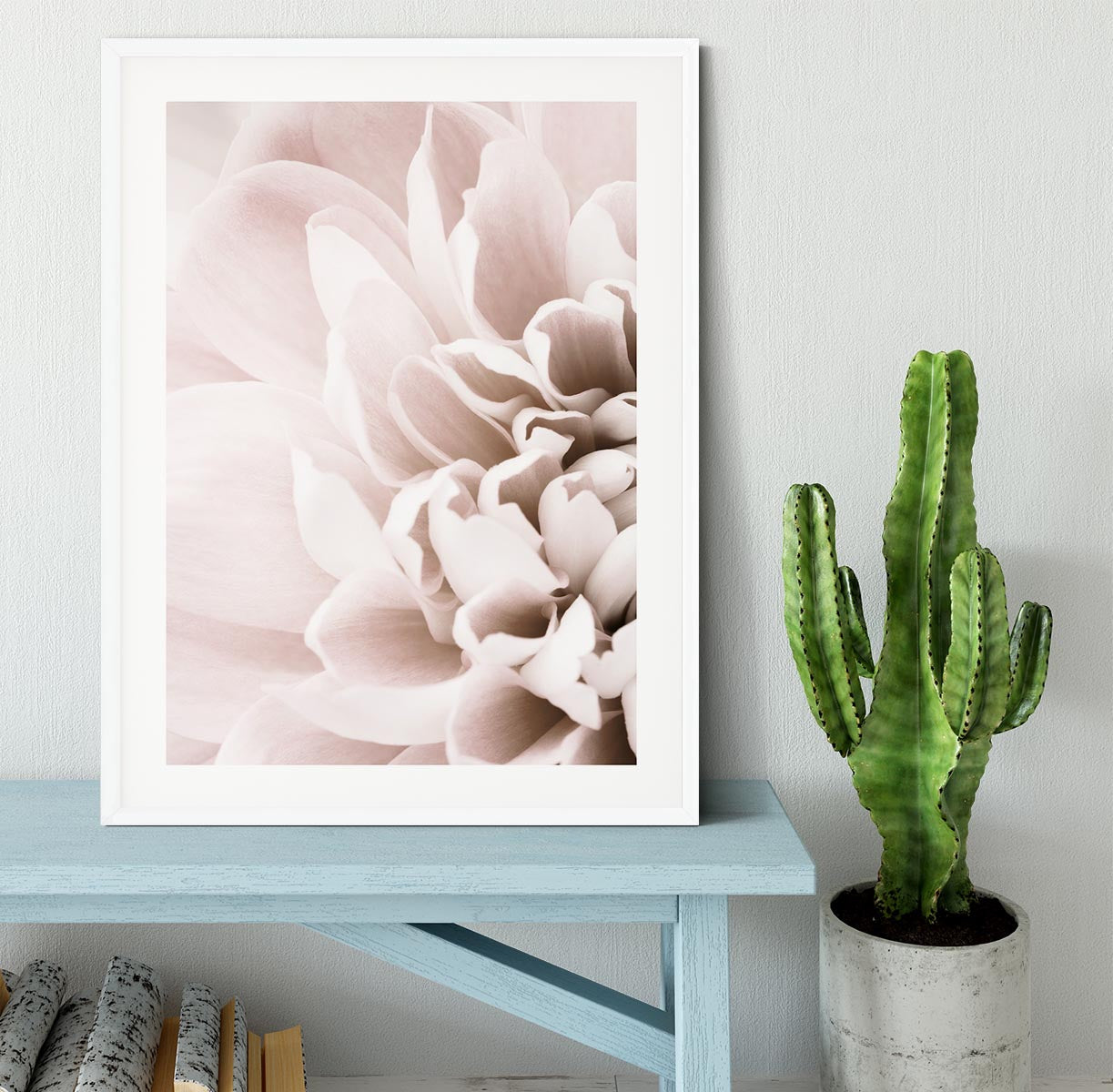 Chrysanthemum No 02 Framed Print - Canvas Art Rocks - 5
