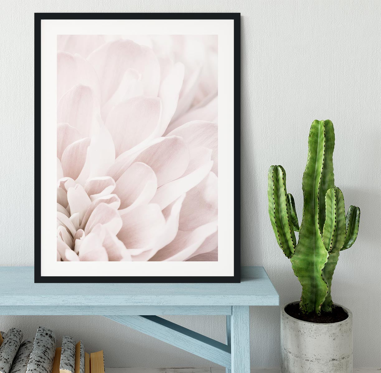 Chrysanthemum No 04 Framed Print - Canvas Art Rocks - 1