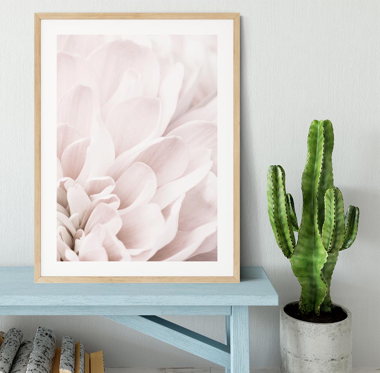 Chrysanthemum No 04 Framed Print - Canvas Art Rocks - 3