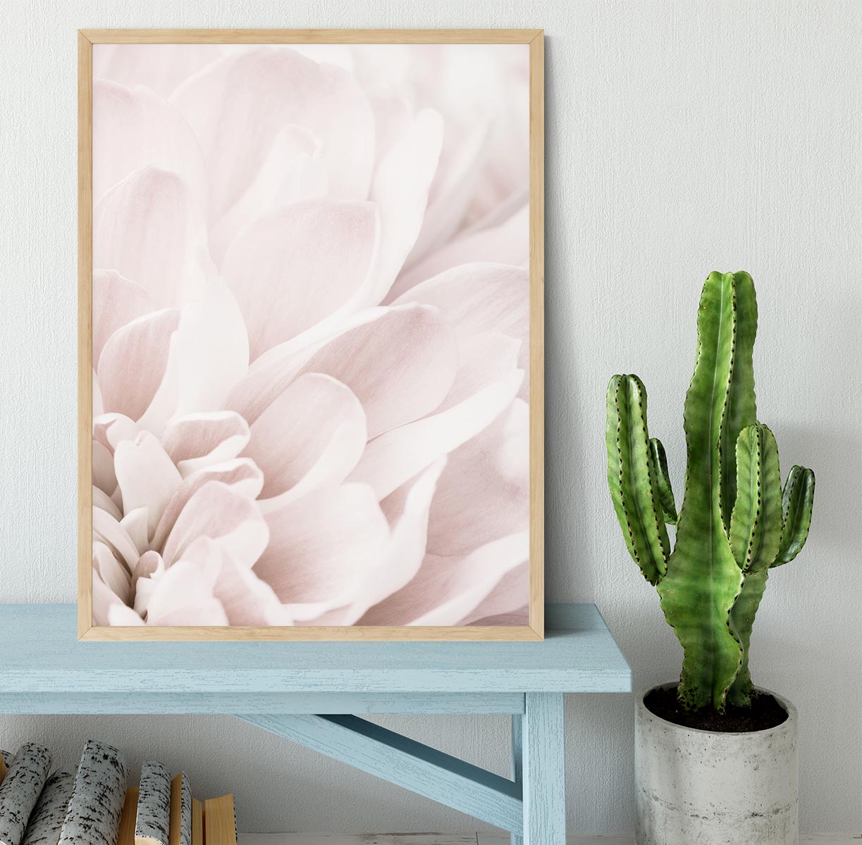 Chrysanthemum No 04 Framed Print - Canvas Art Rocks - 4