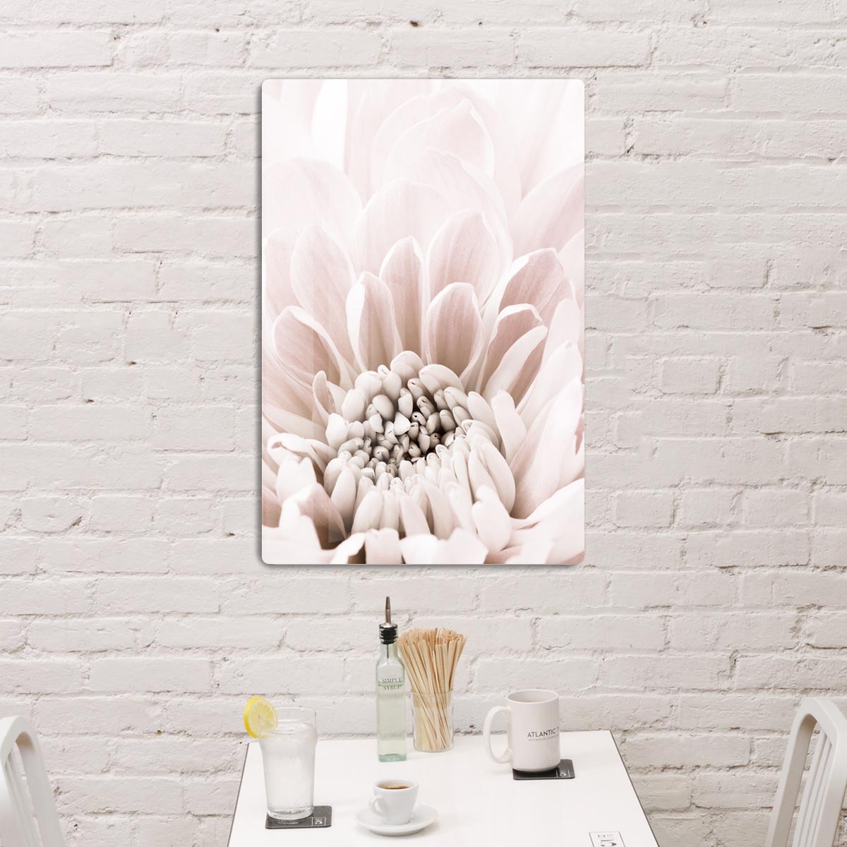 Chrysanthemum No 06 HD Metal Print - Canvas Art Rocks - 2