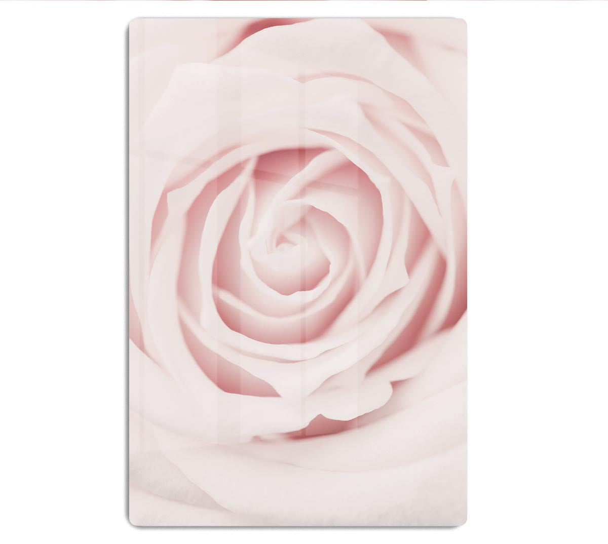 Pink Rose No 02 HD Metal Print - Canvas Art Rocks - 1